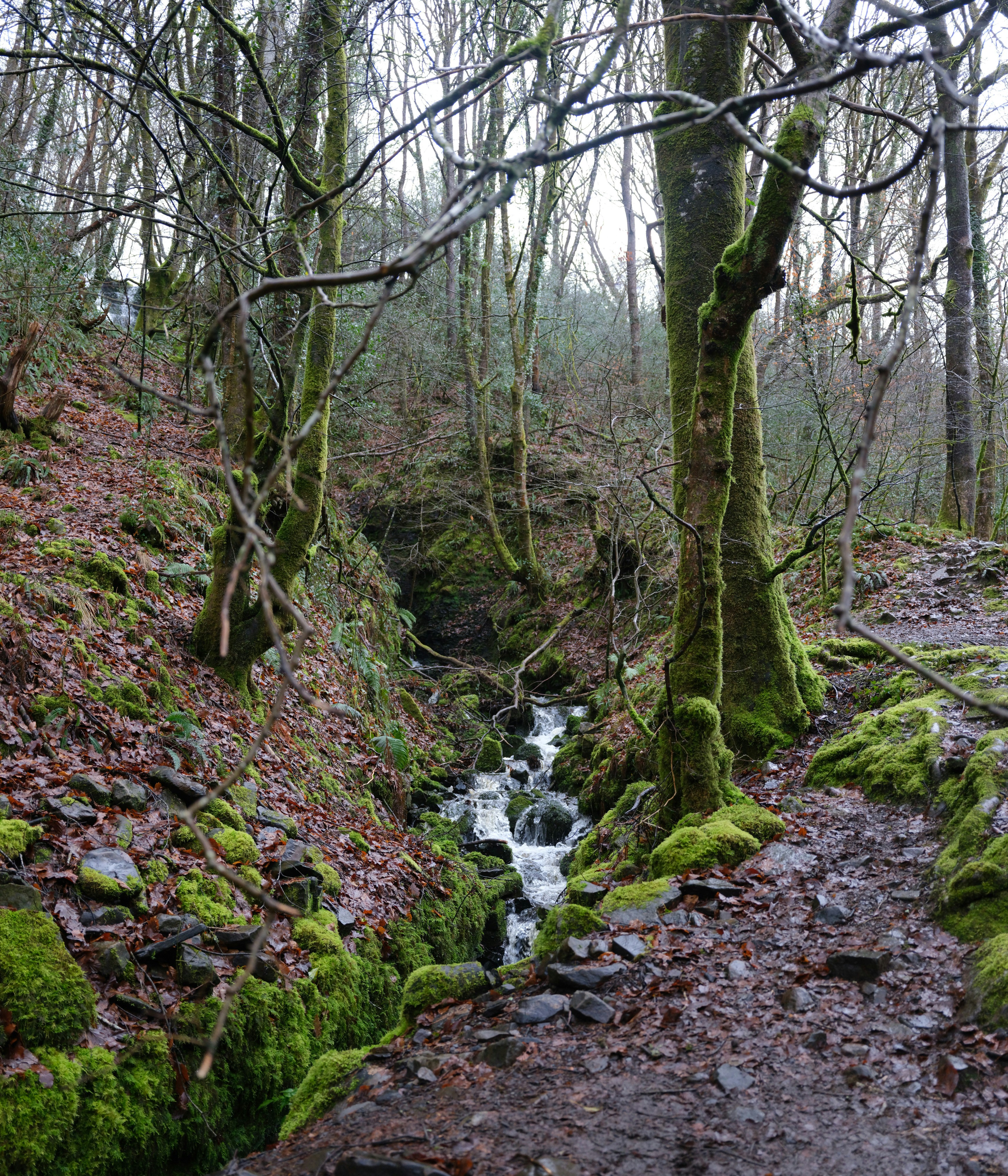 Photo by tanyabarrow