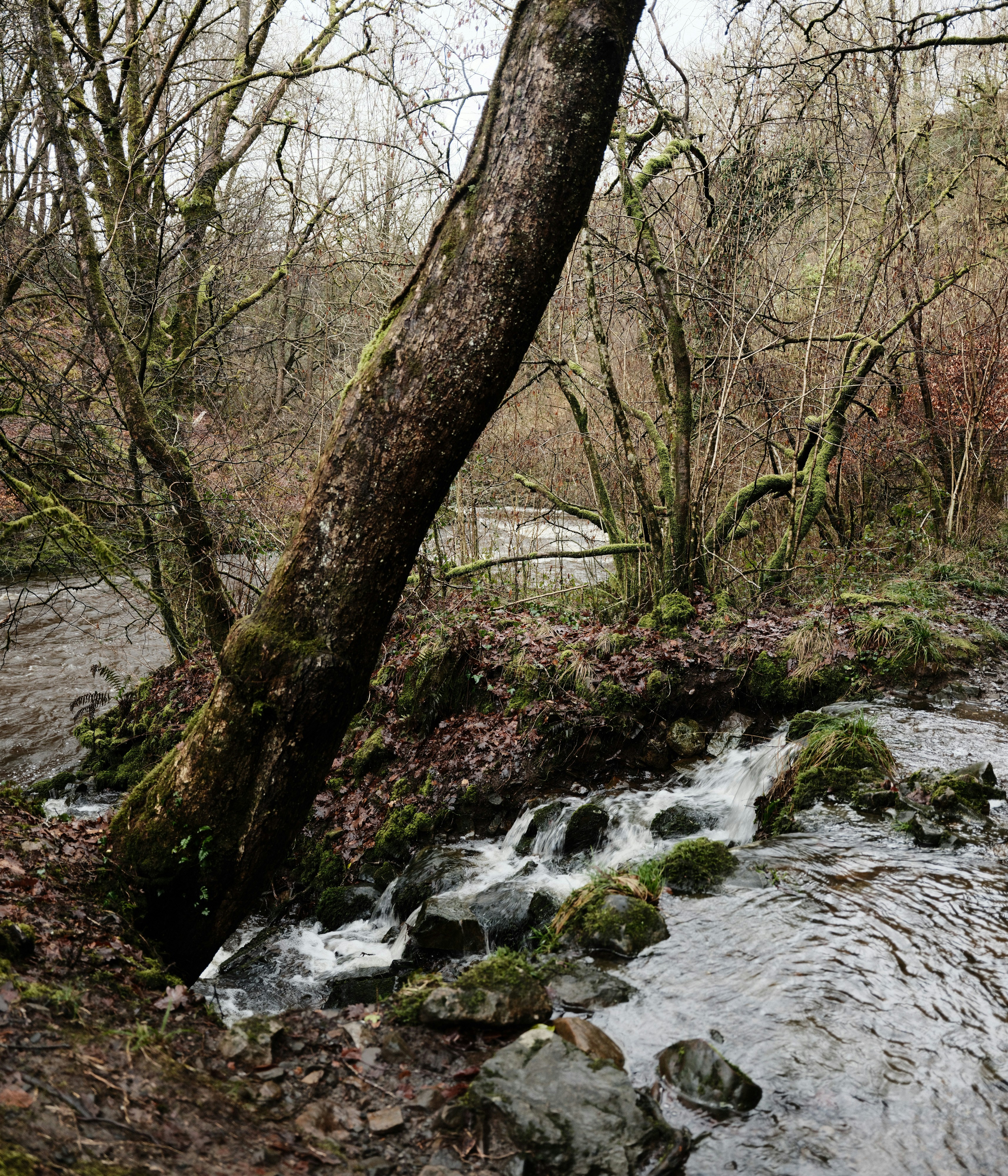 Photo by tanyabarrow