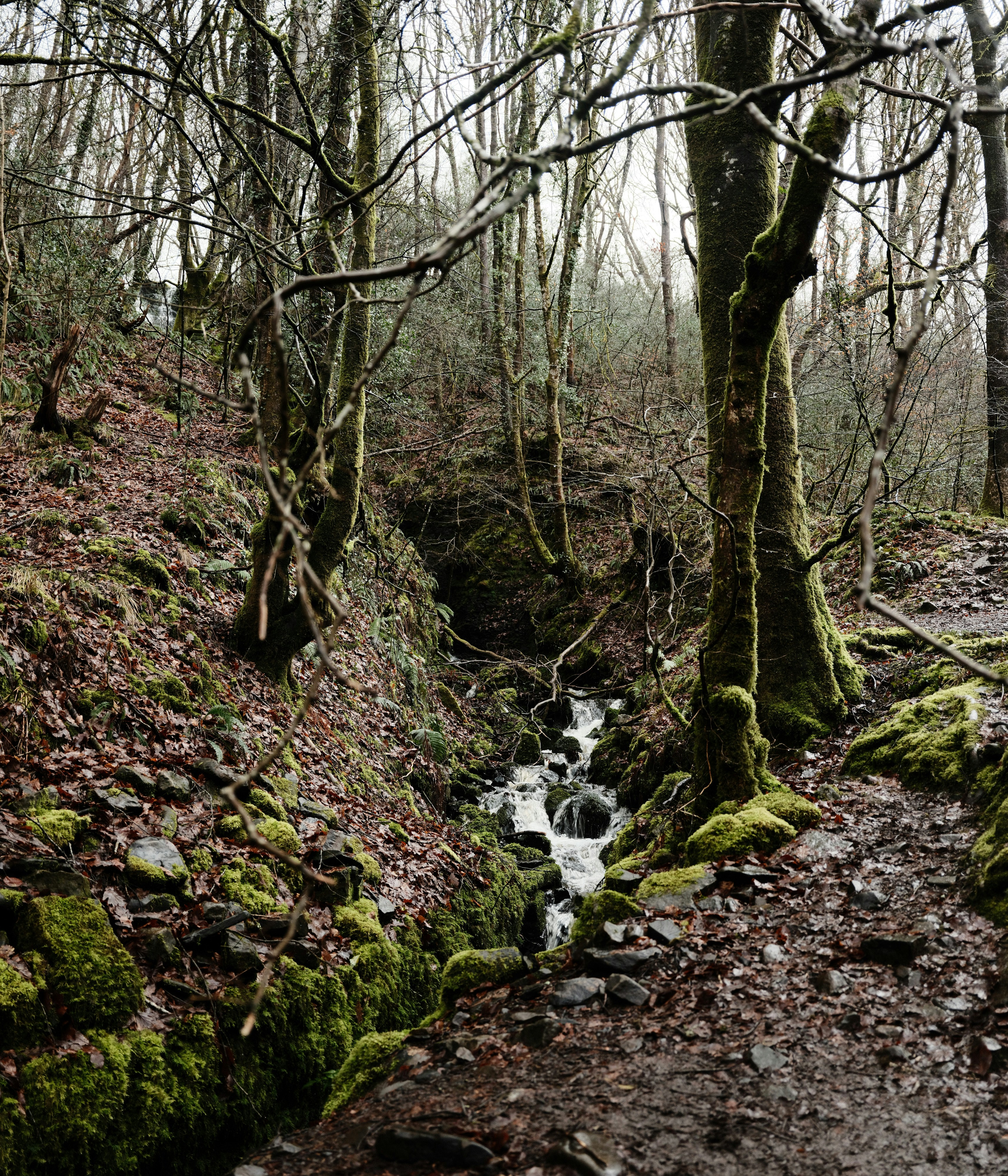 Photo by tanyabarrow