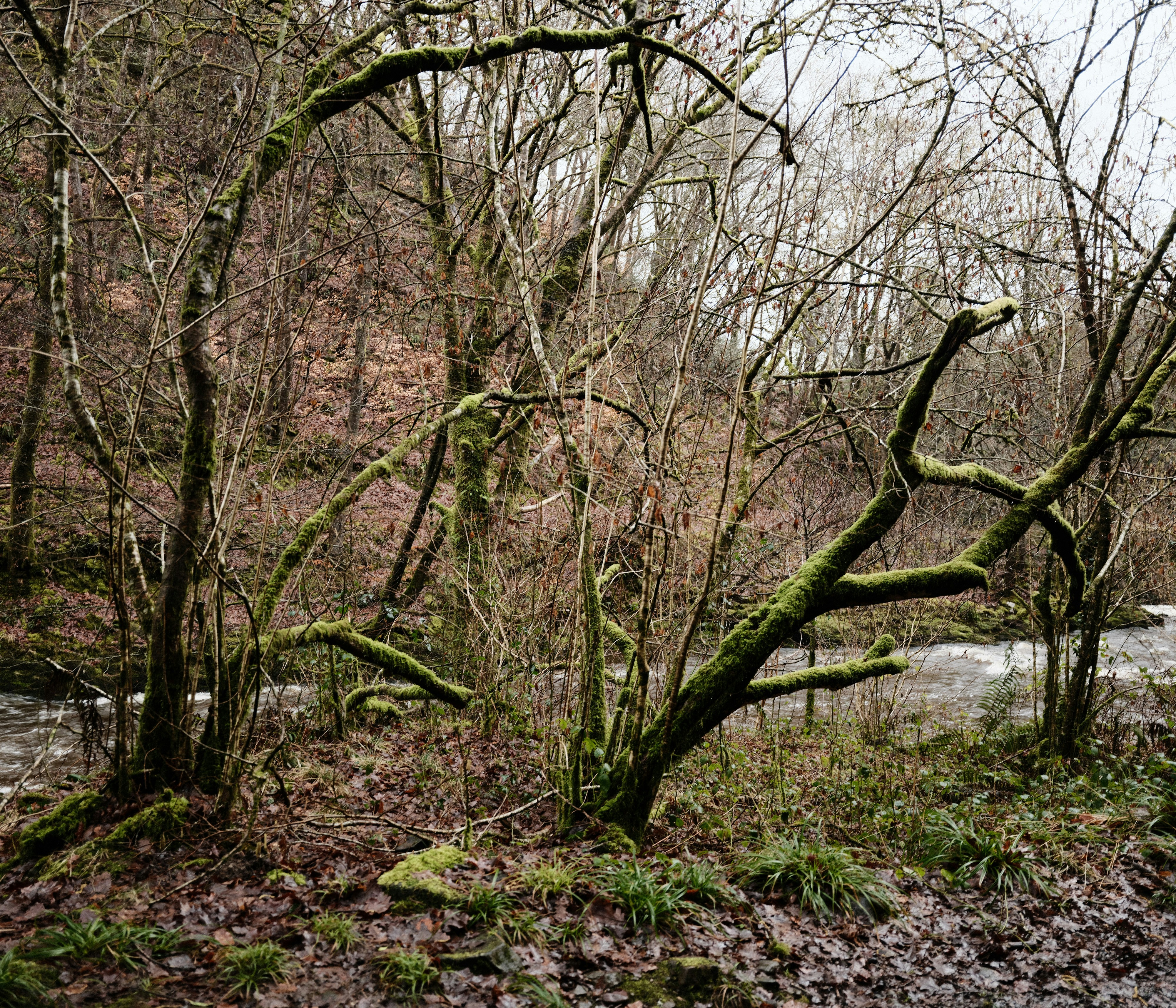 Photo by tanyabarrow