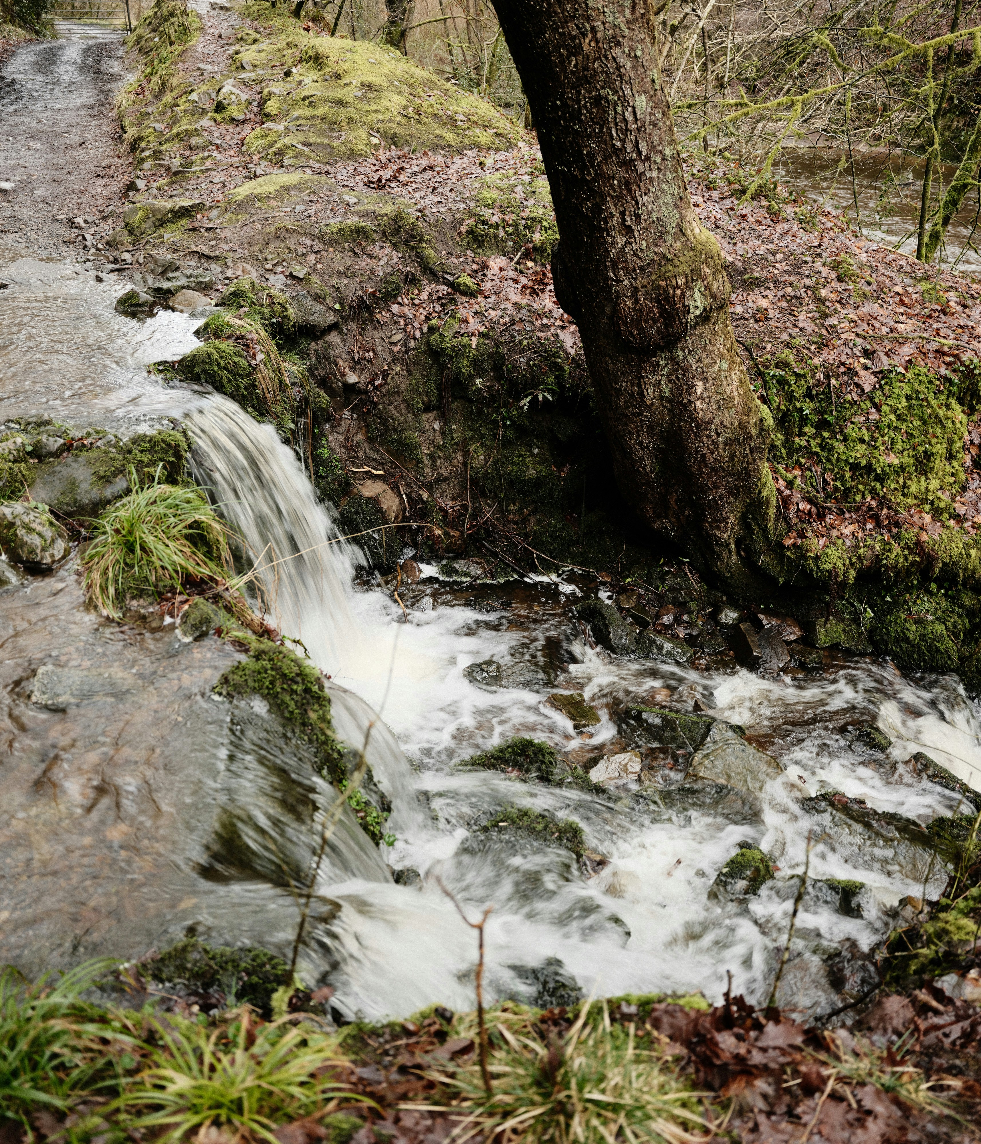 Photo by tanyabarrow