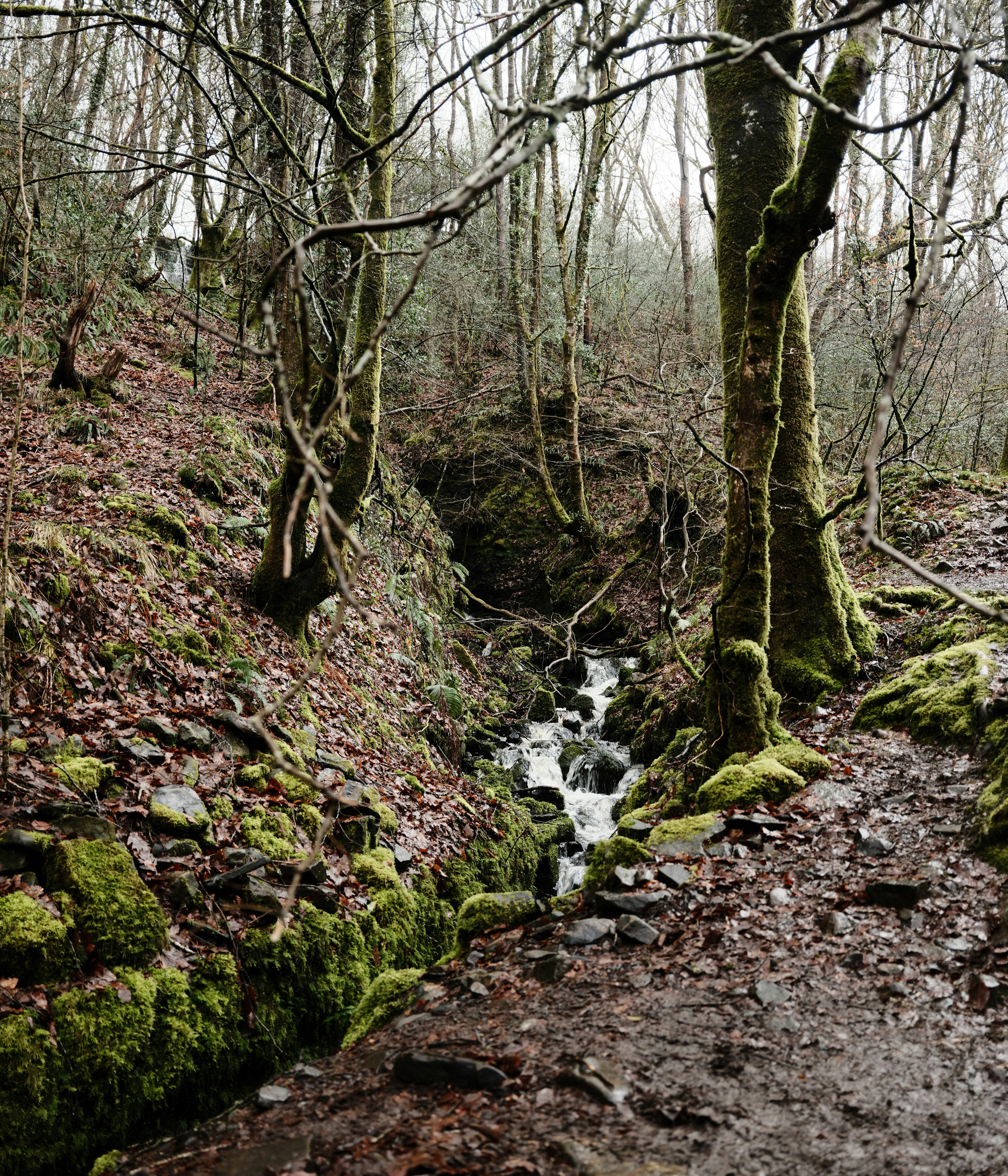 Photo by tanyabarrow