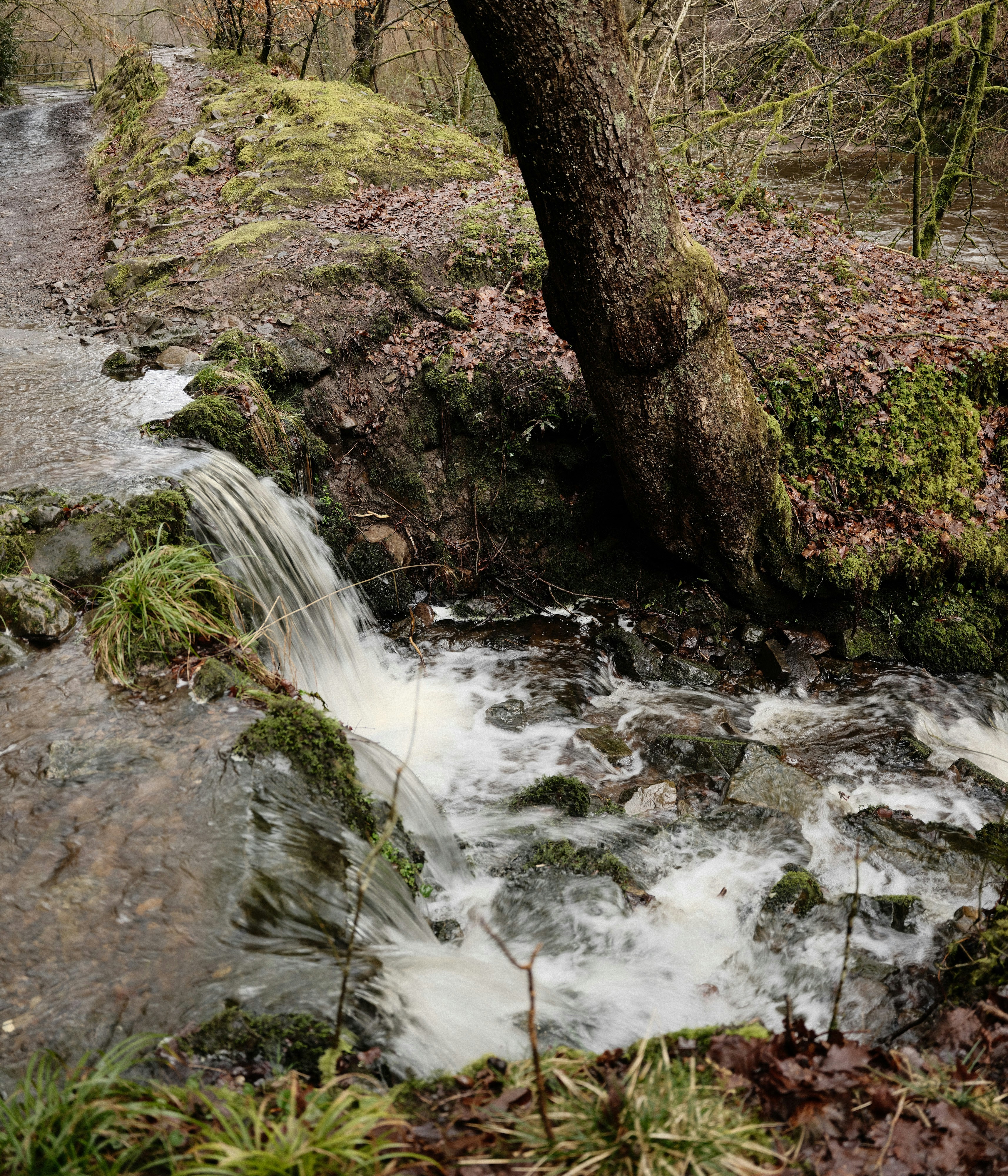 Photo by tanyabarrow