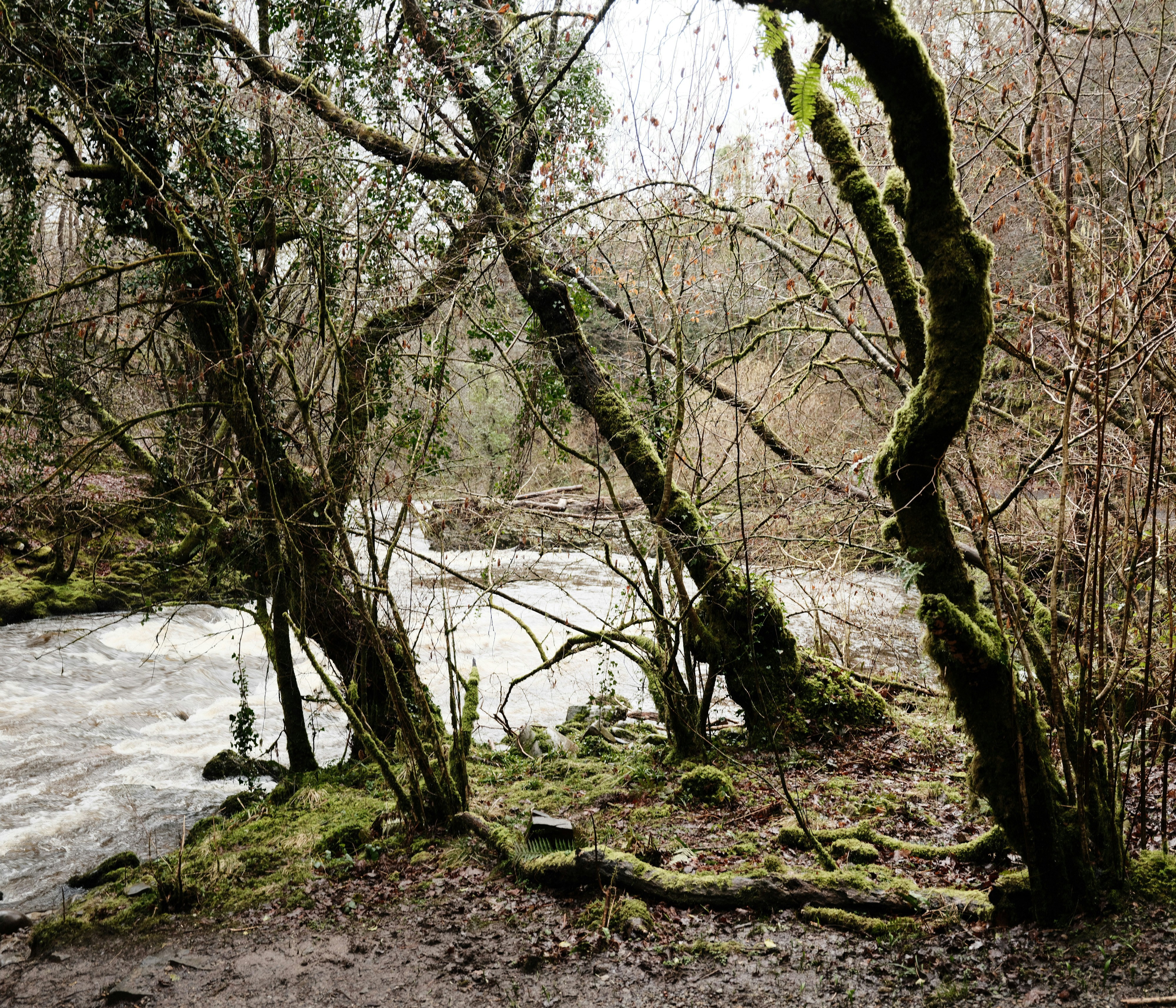 Photo by tanyabarrow