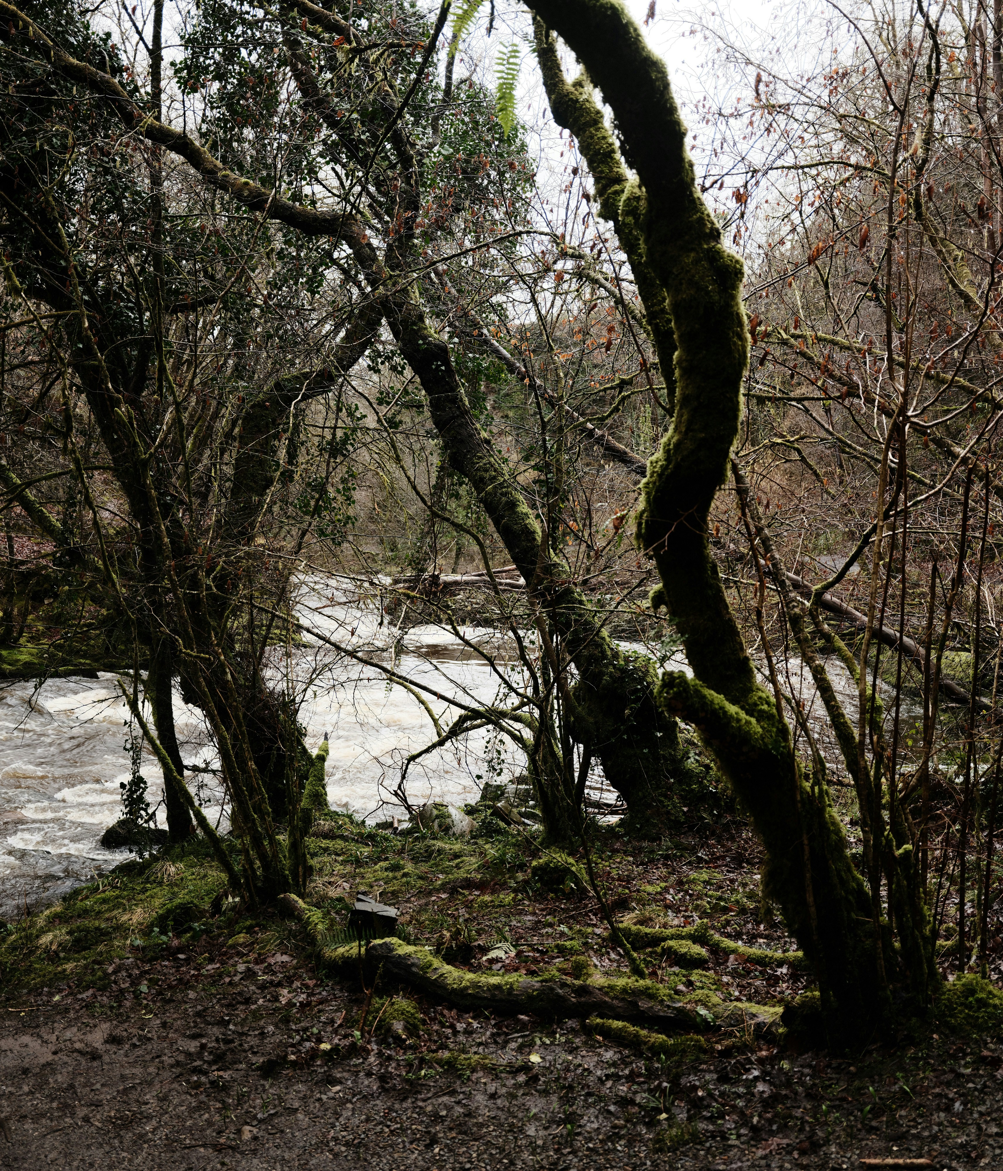 Photo by tanyabarrow