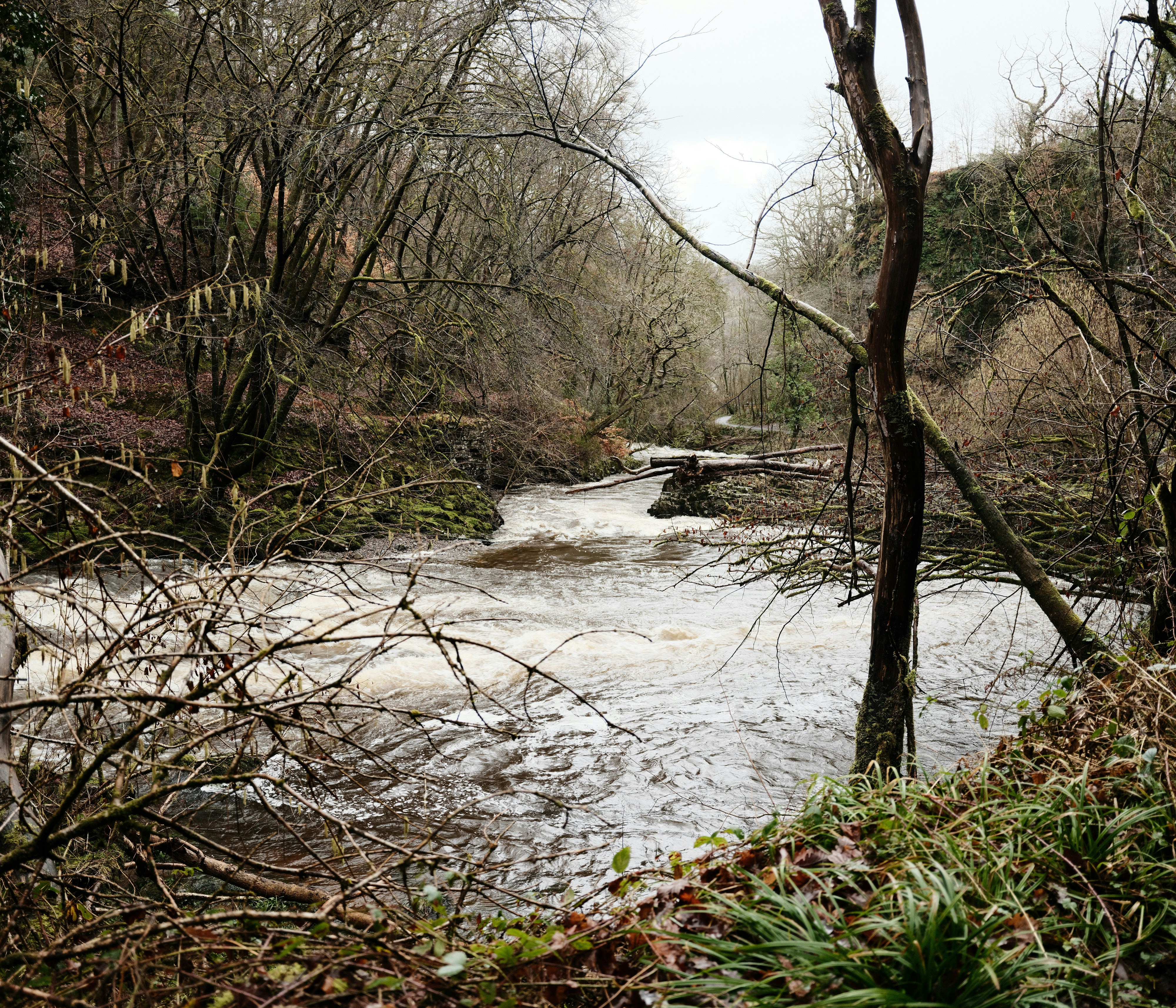 Photo by tanyabarrow