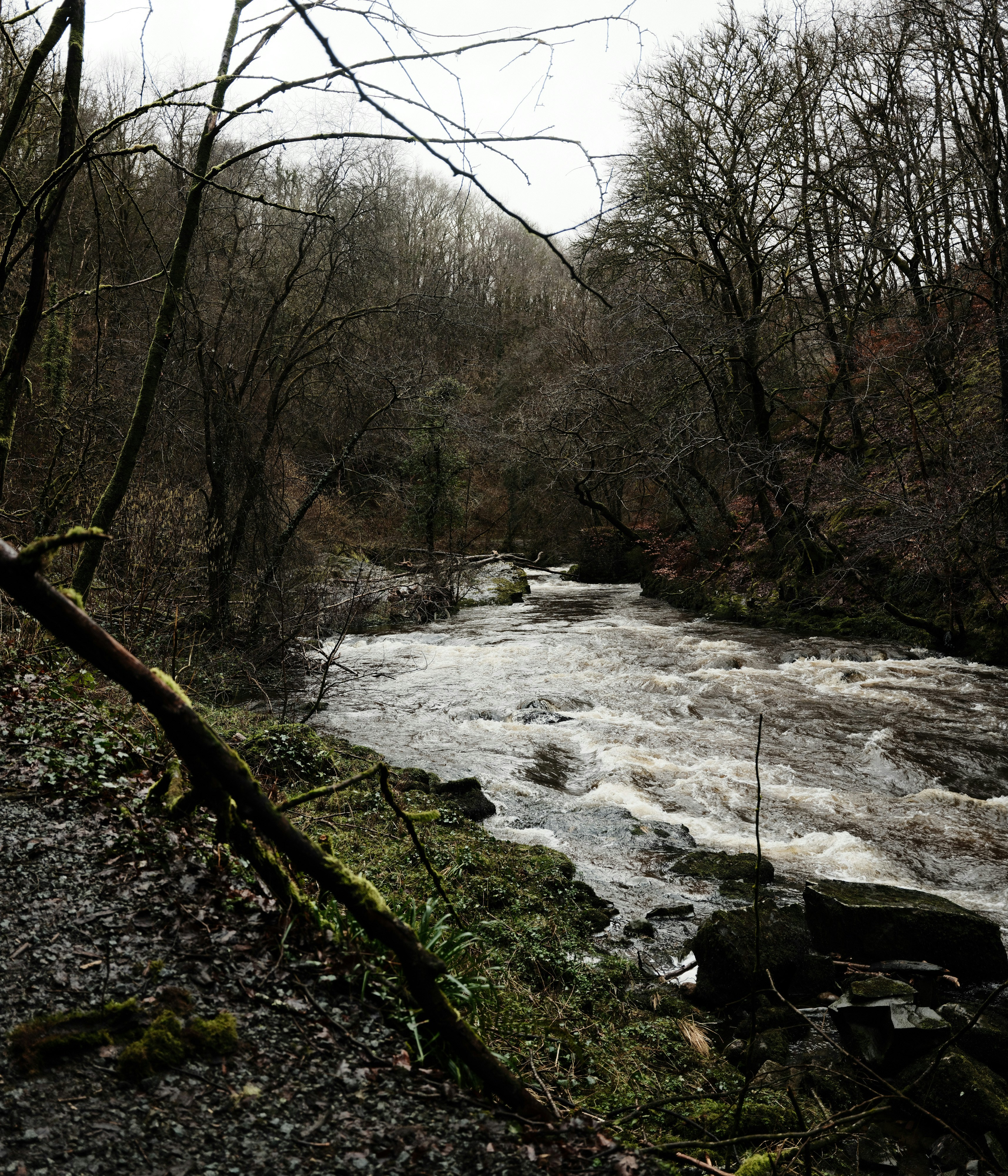 Photo by tanyabarrow