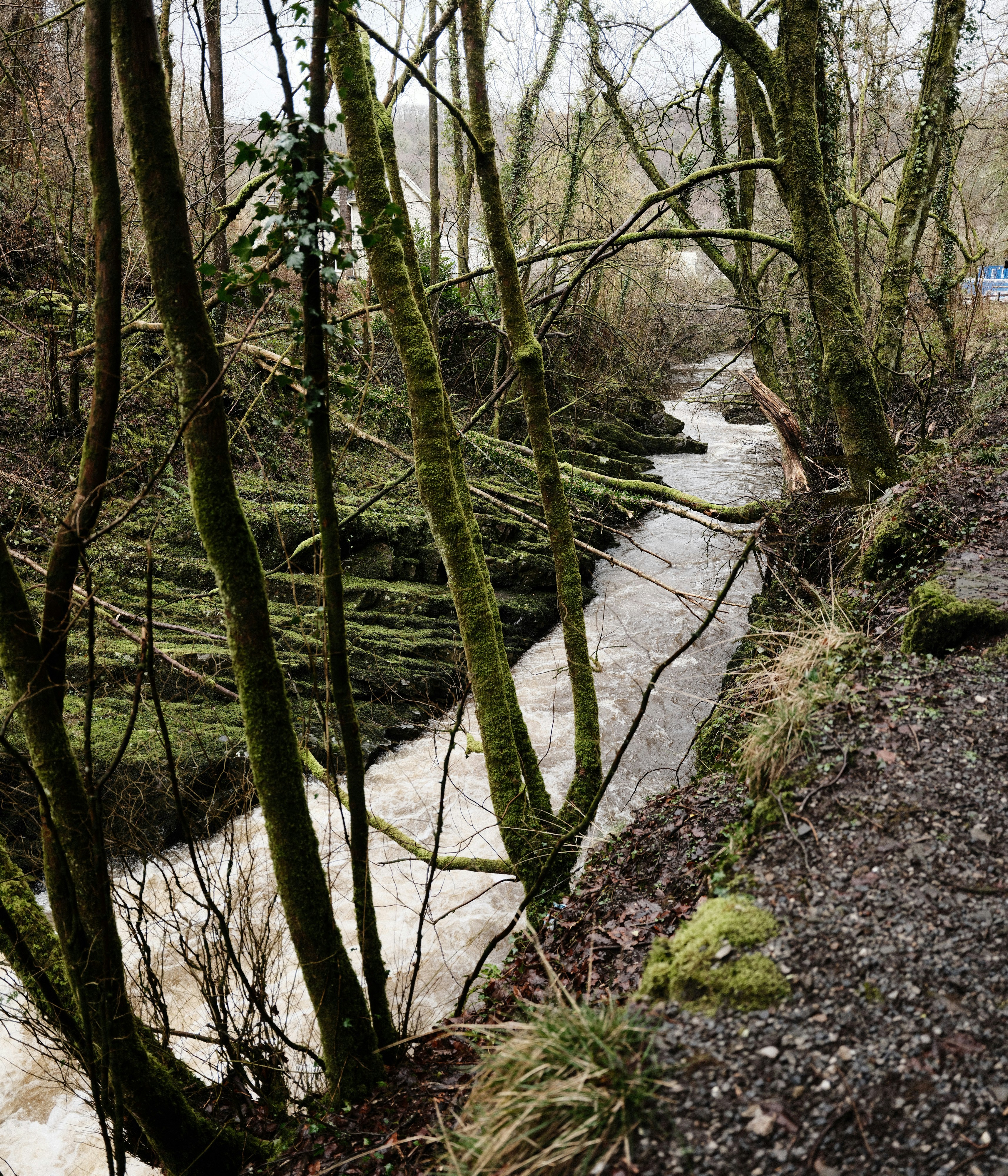 Photo by tanyabarrow