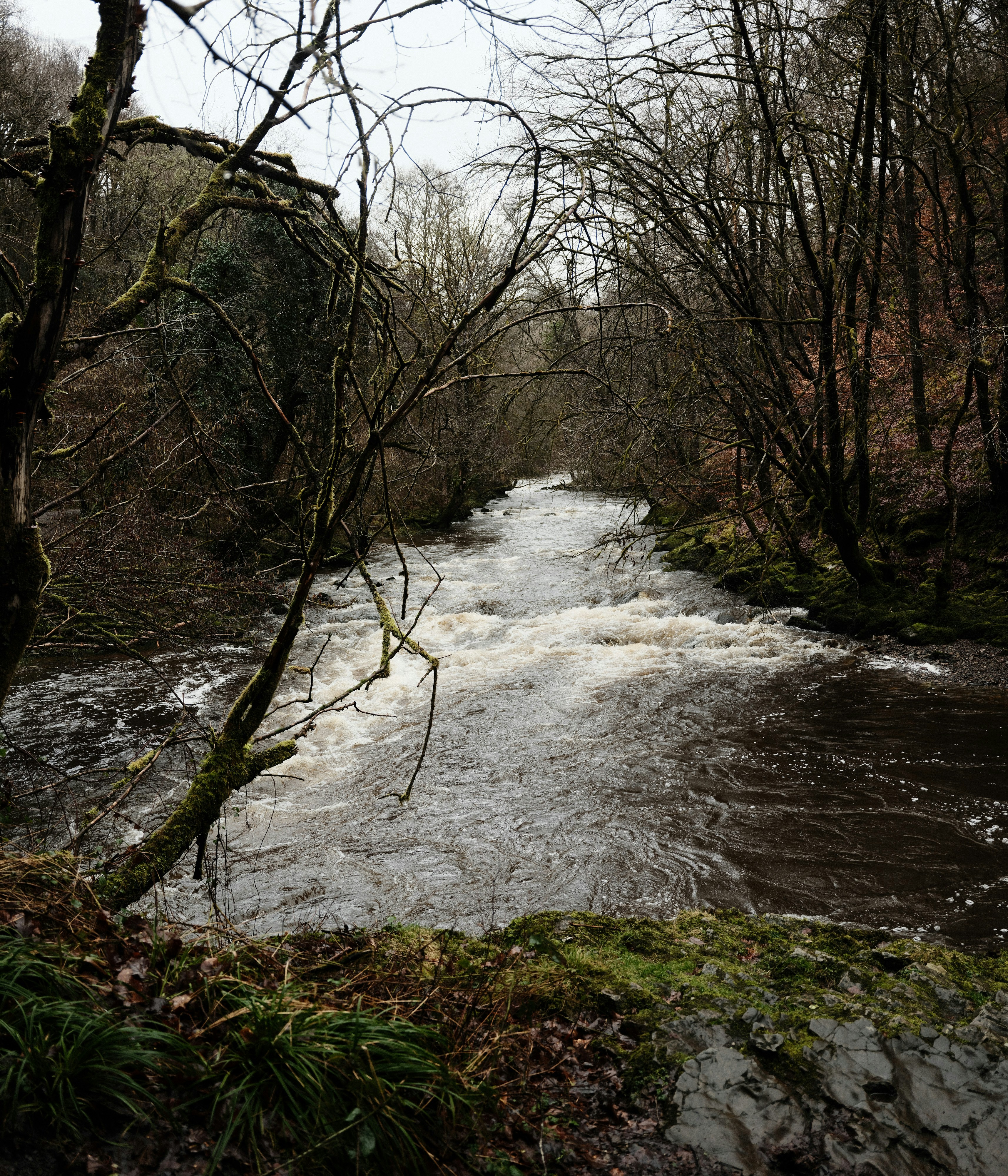 Photo by tanyabarrow