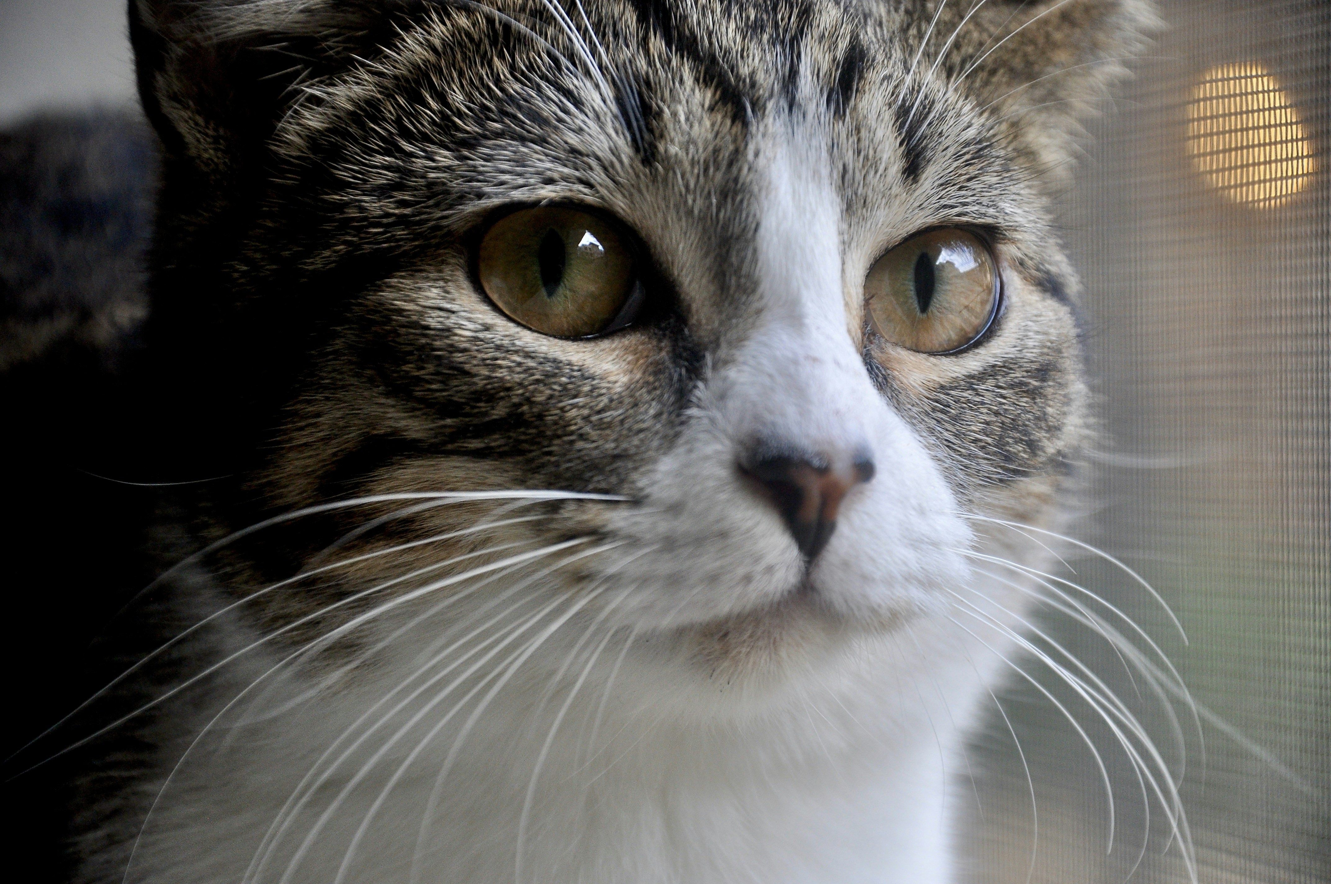 Photo by cameramandan83