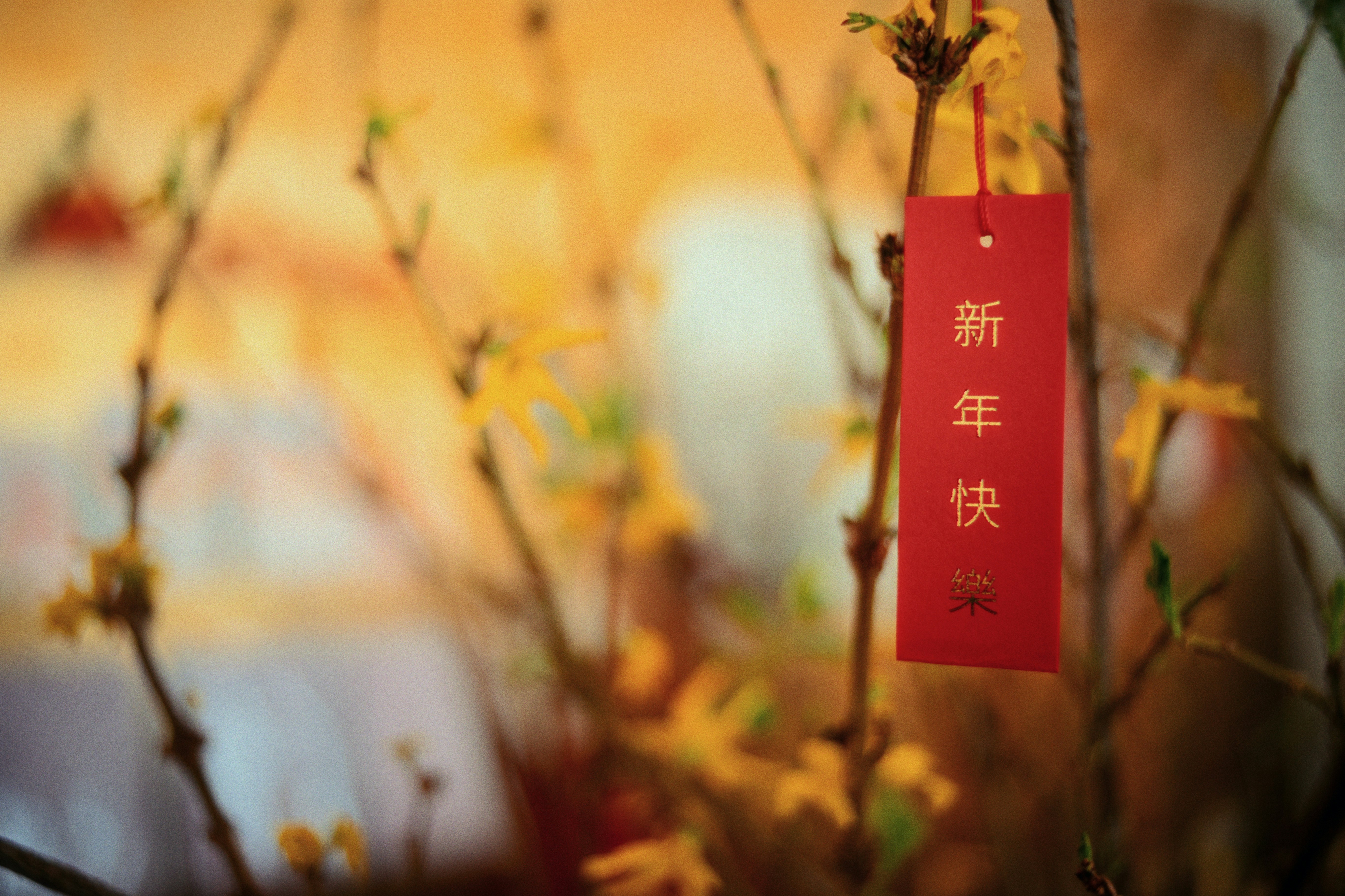 Translate Chinese to English: Heartfelt Wishes to Share