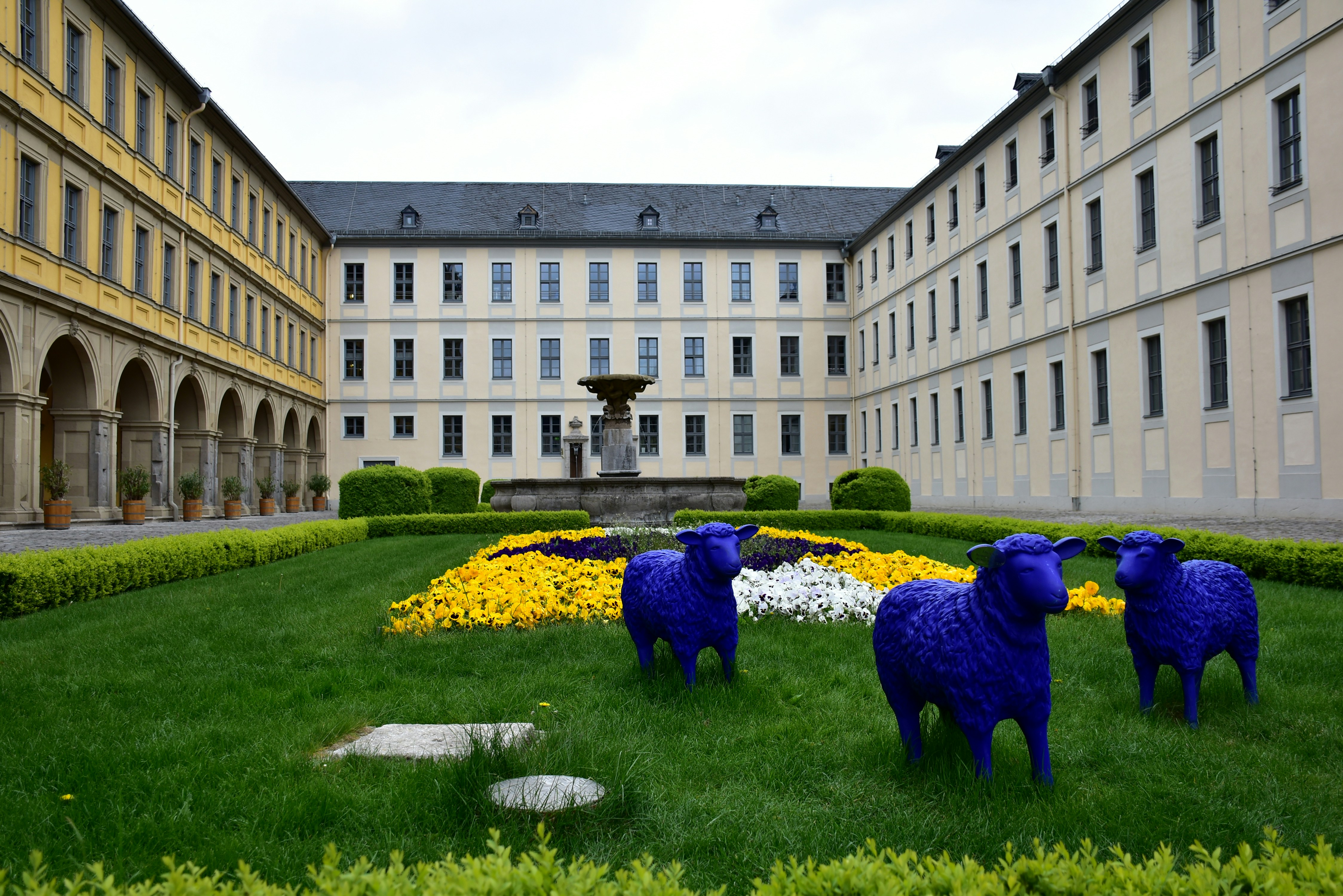 Three blue sheep sculptures in a courtyard garden