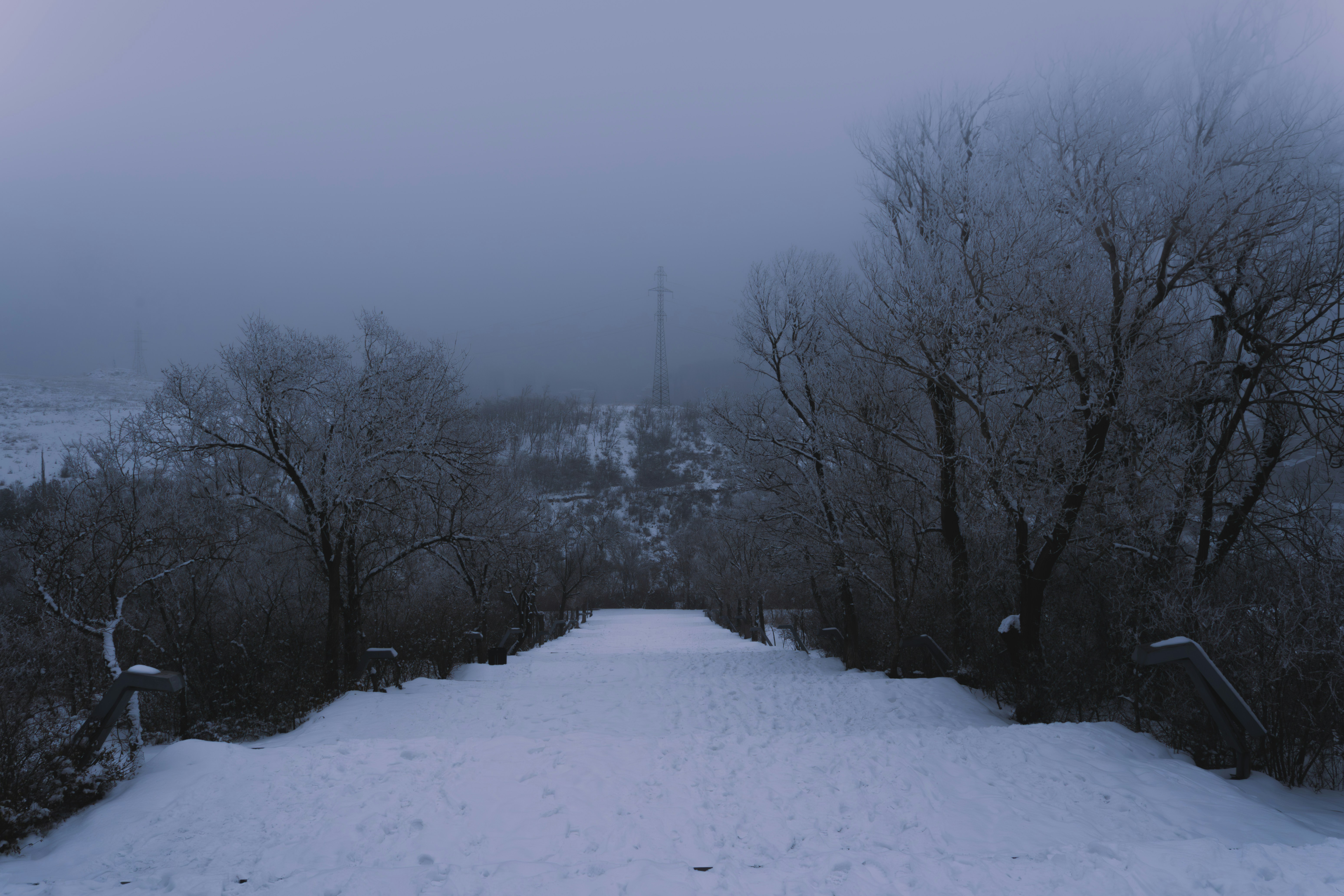 Photo by jack5parrow