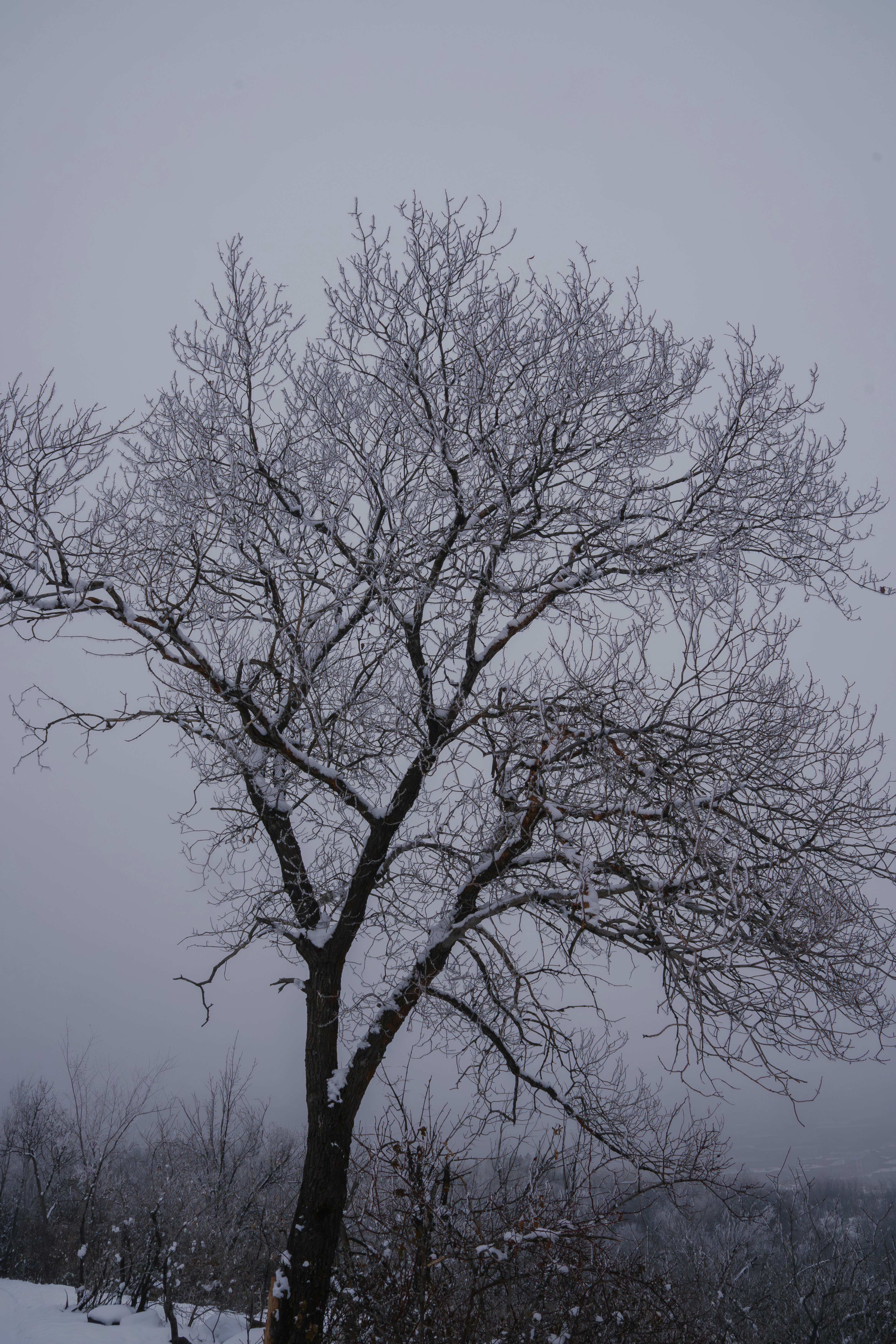 Photo by jack5parrow