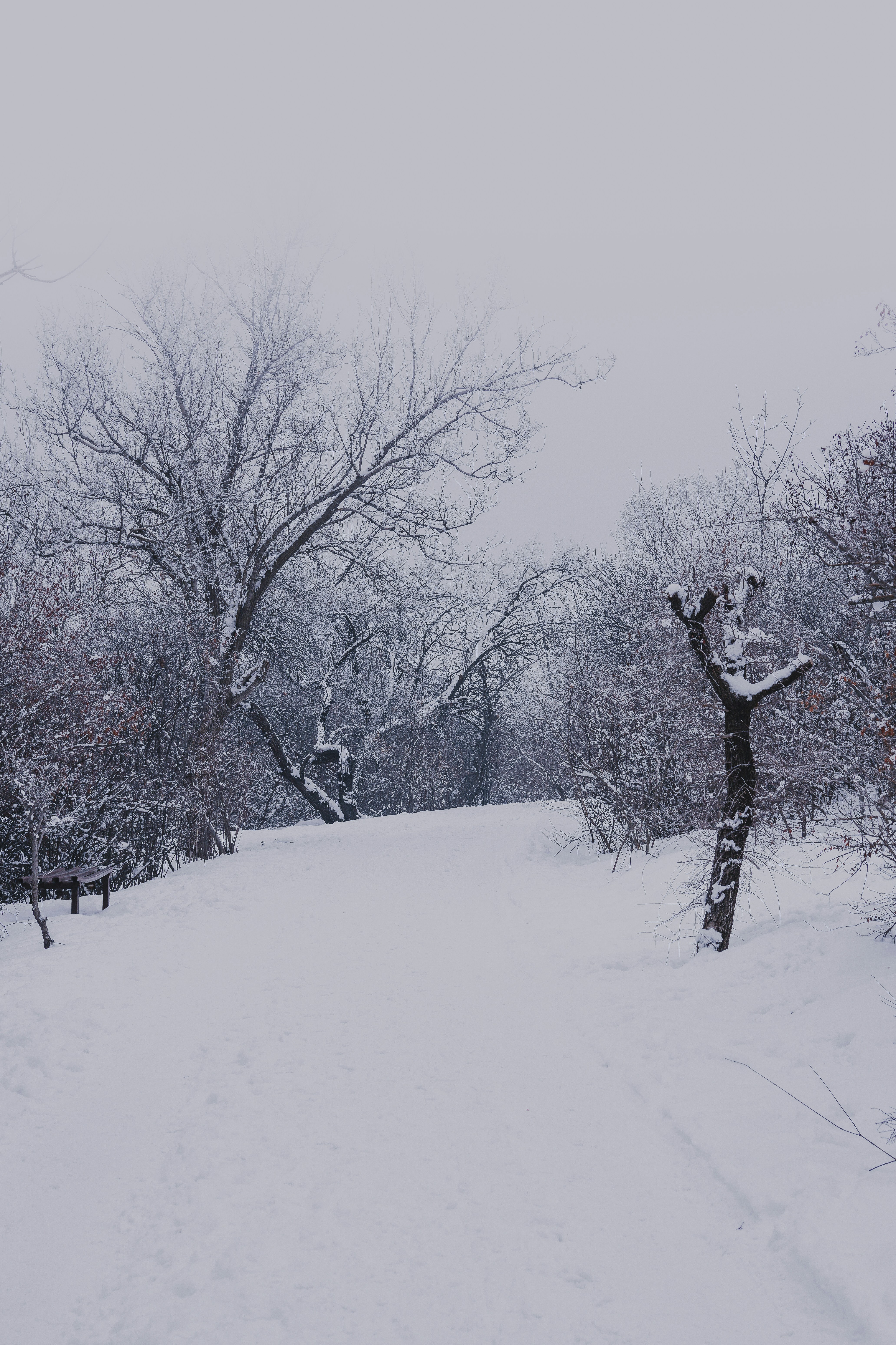 Photo by jack5parrow