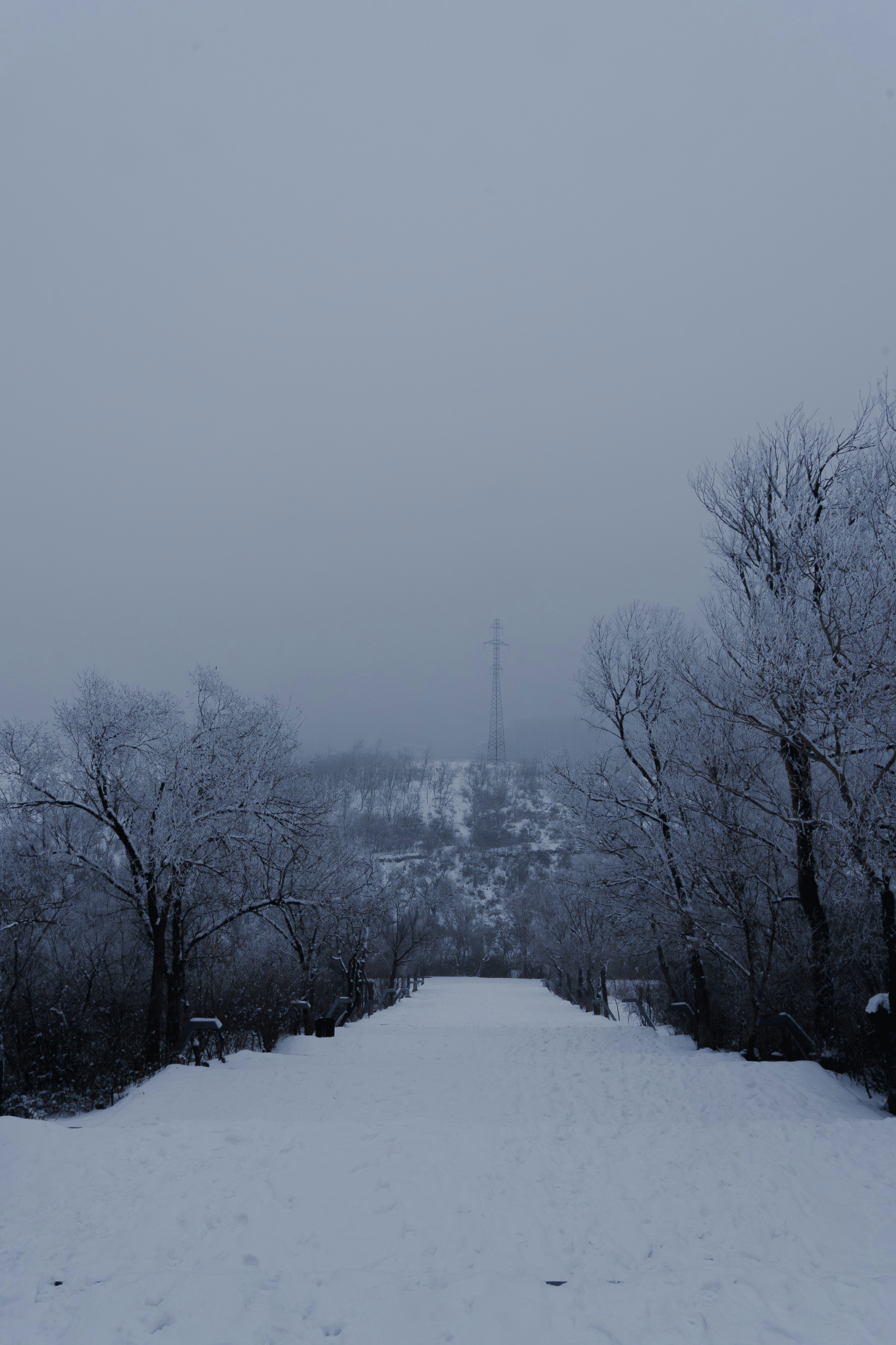 Photo by jack5parrow