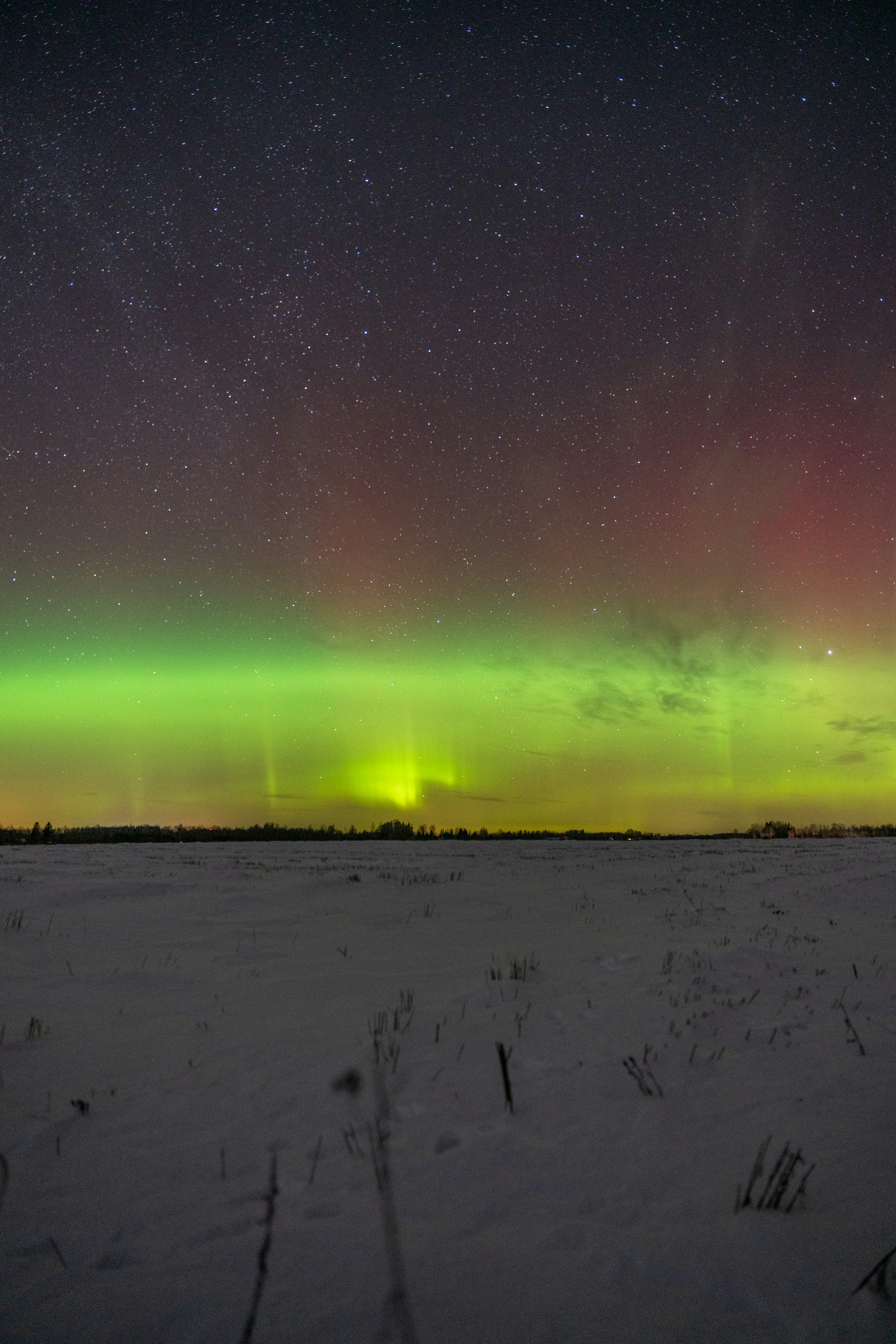 Aurora borealis over a snowy field at night