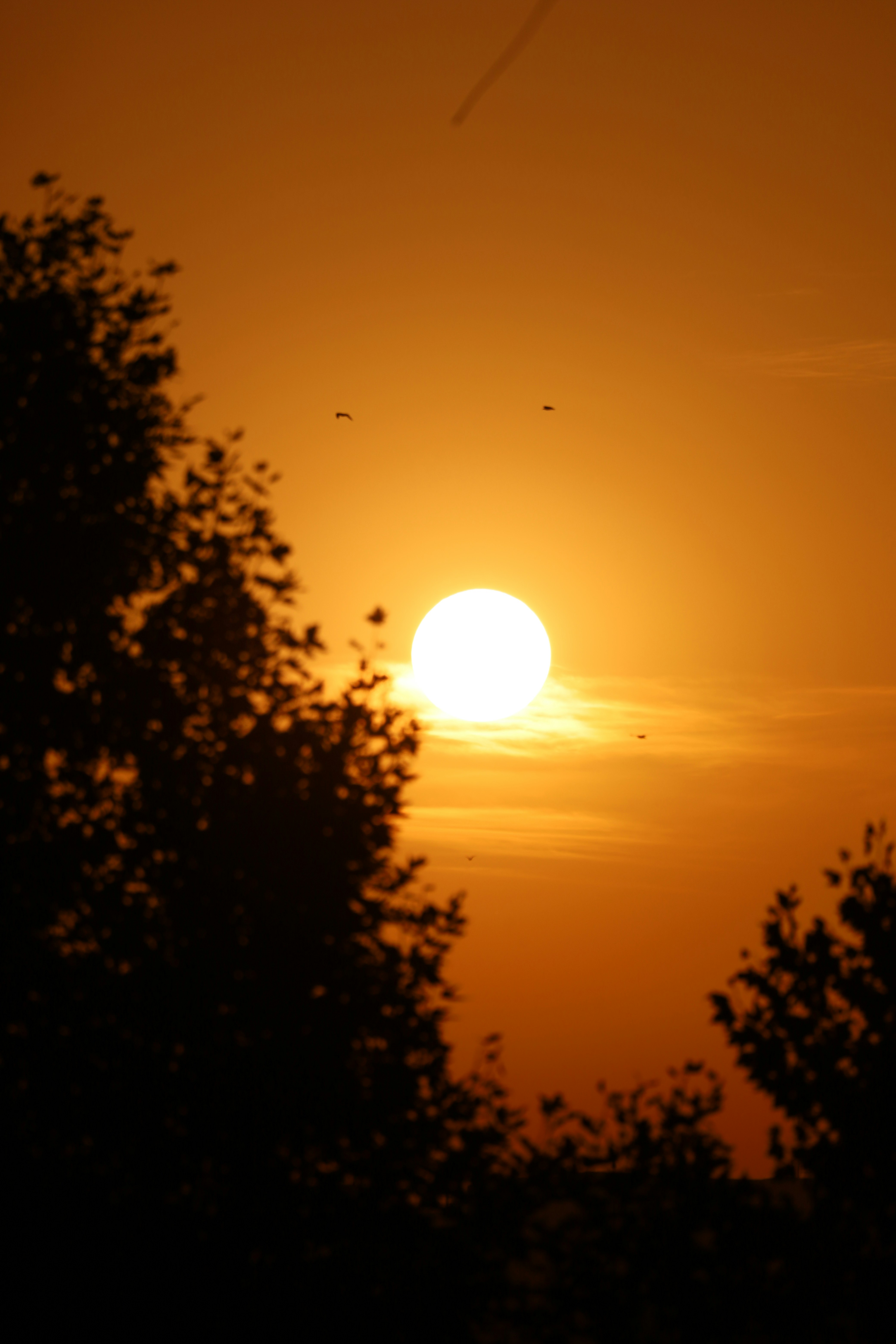 Photo by _fotofurkan_