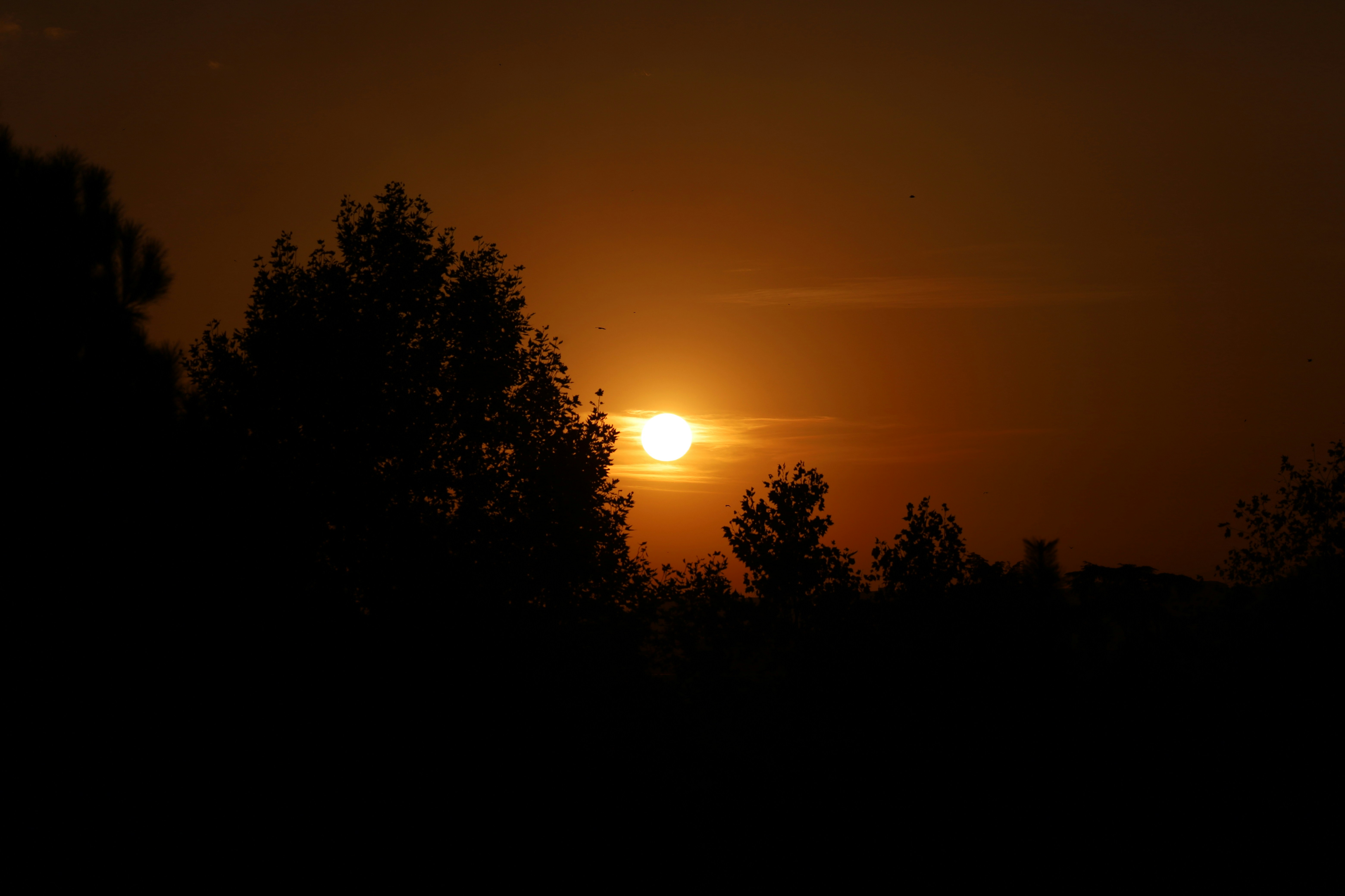 Photo by _fotofurkan_