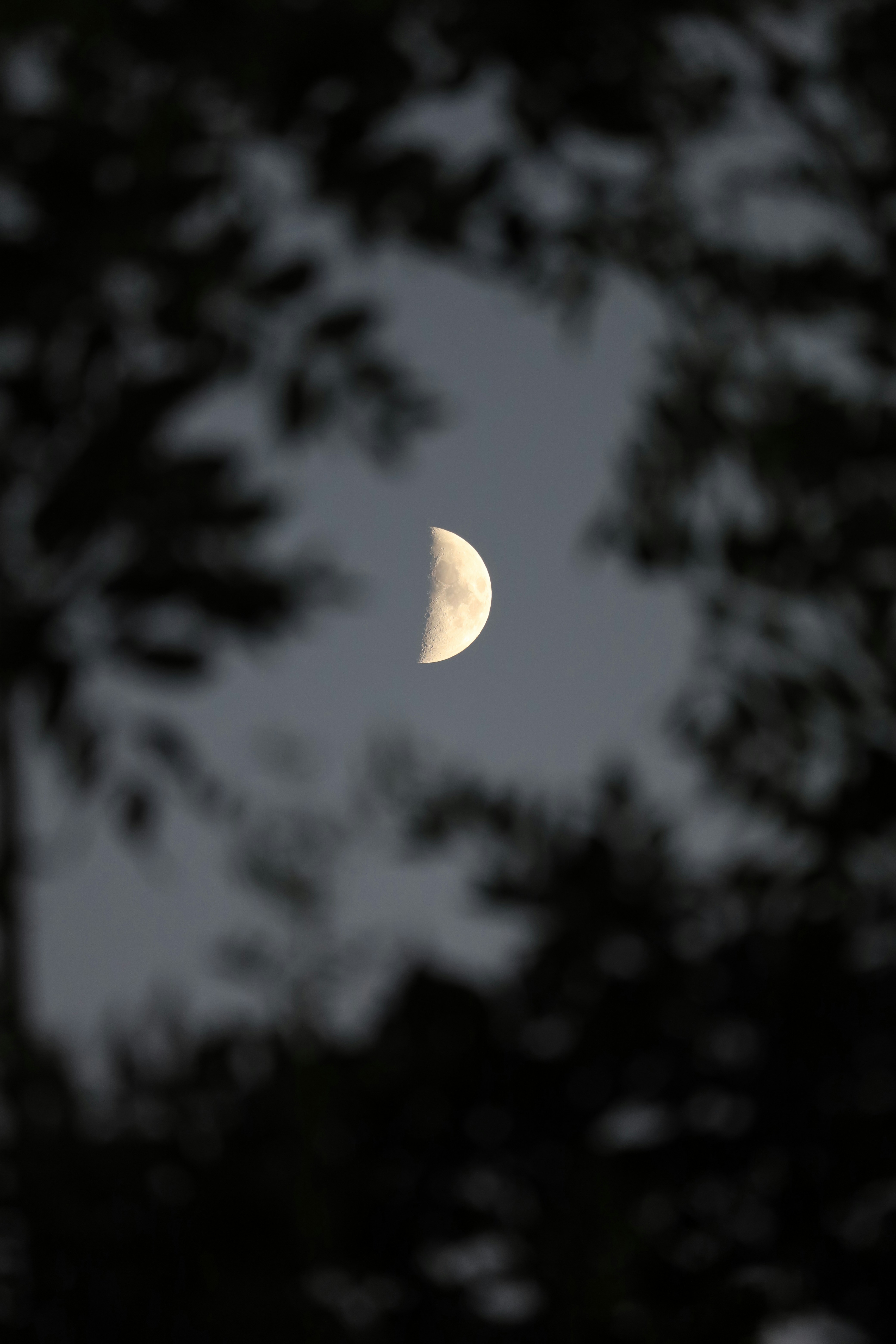 Photo by _fotofurkan_