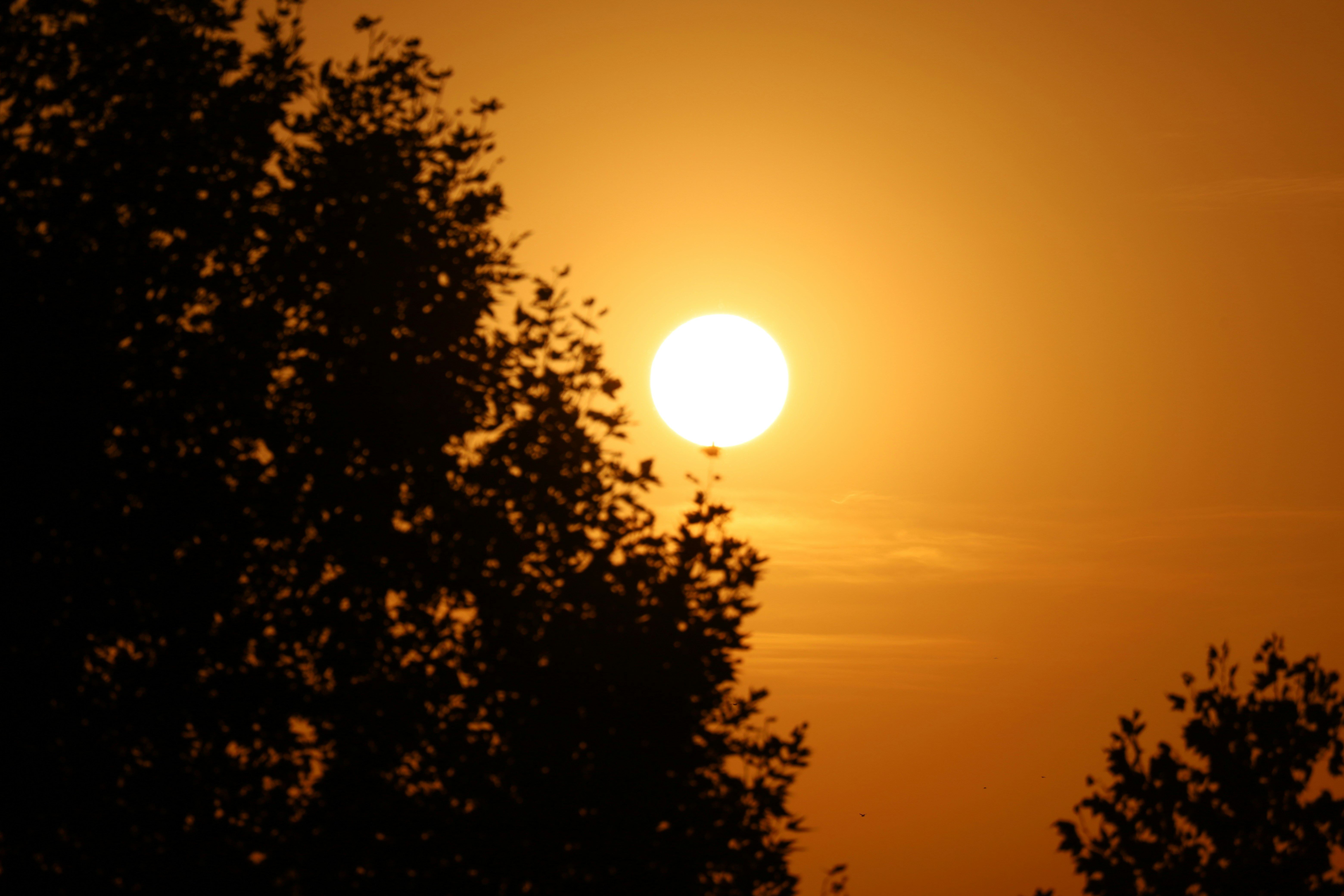 Photo by _fotofurkan_