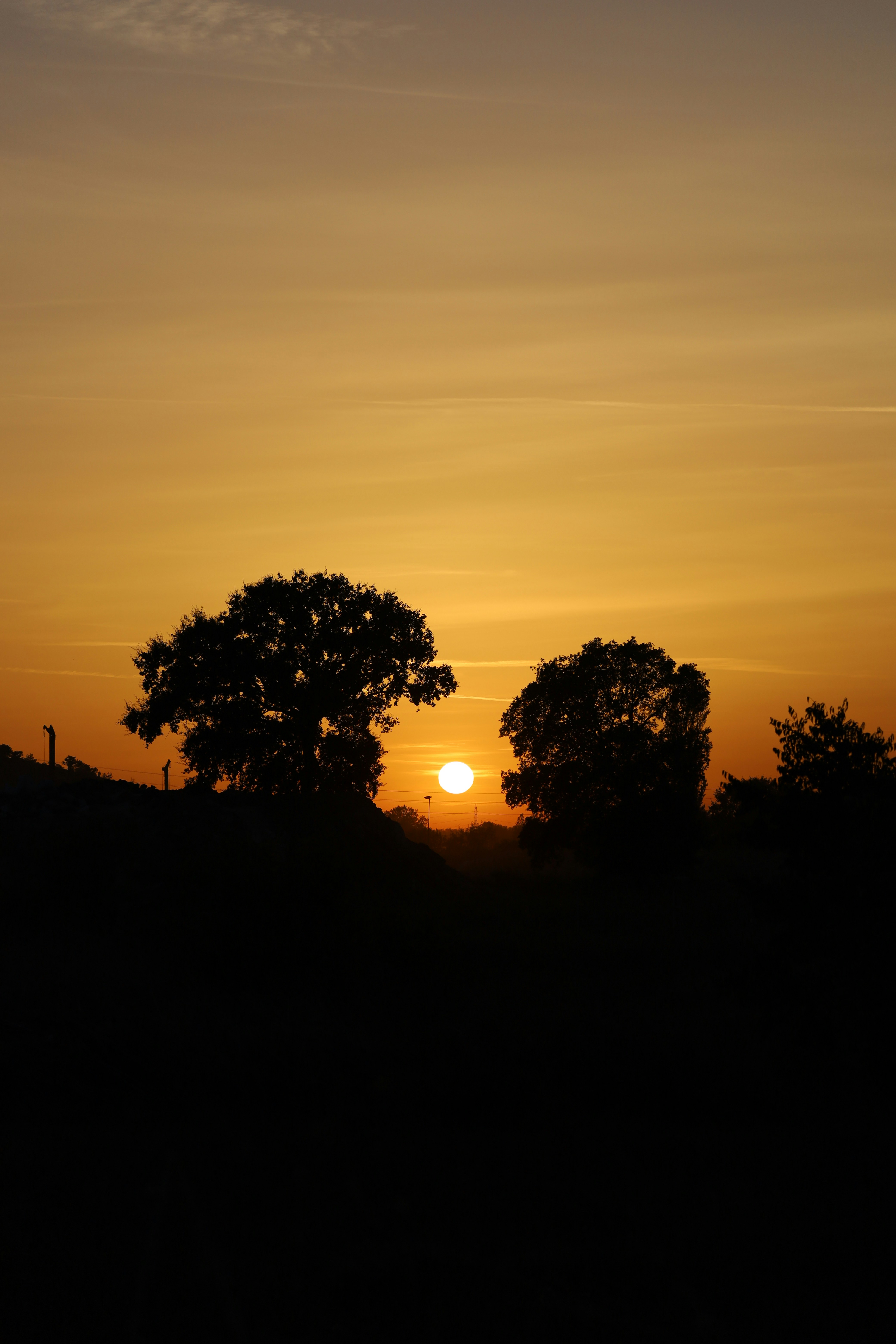 Photo by _fotofurkan_