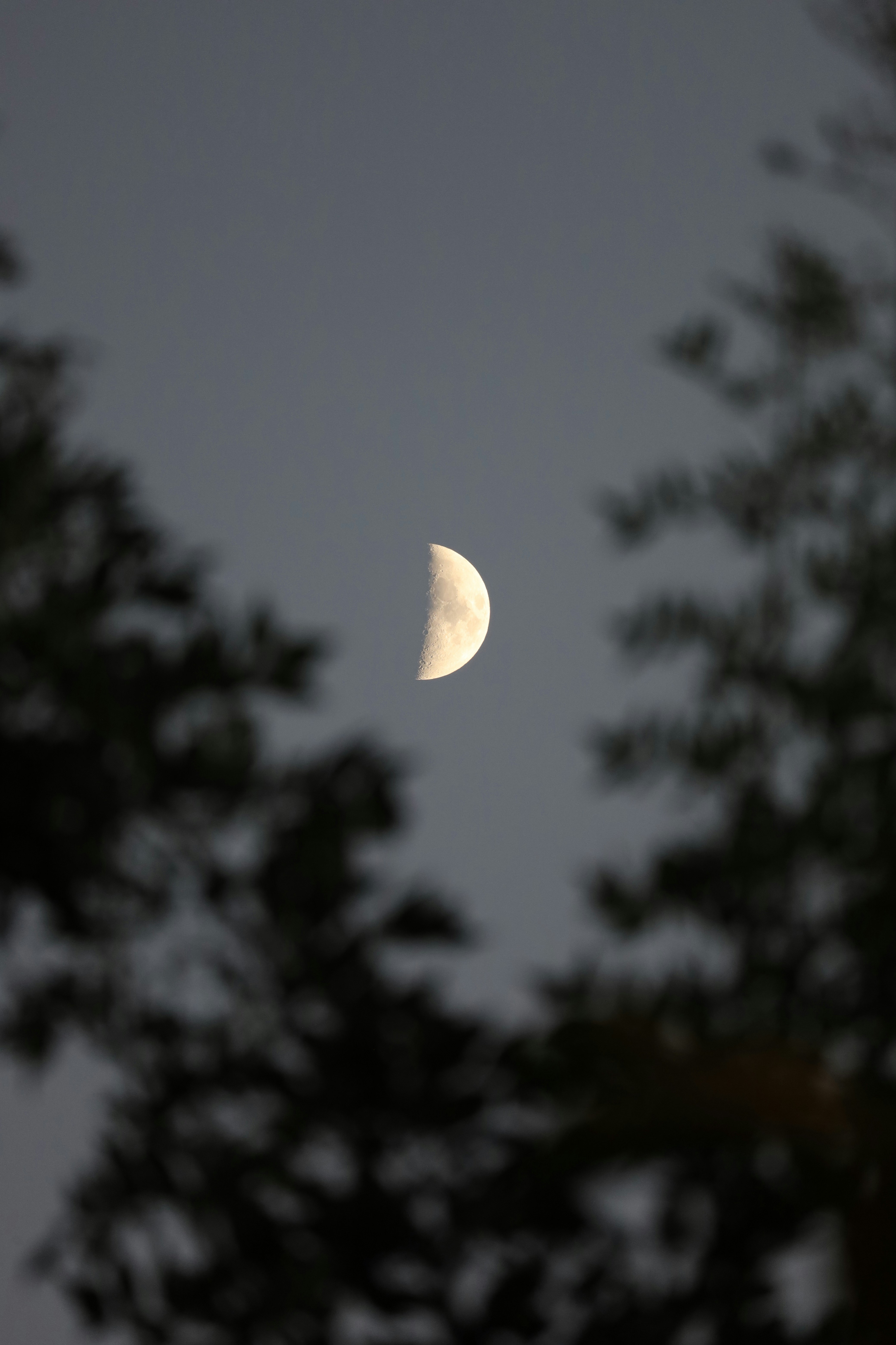 Photo by _fotofurkan_