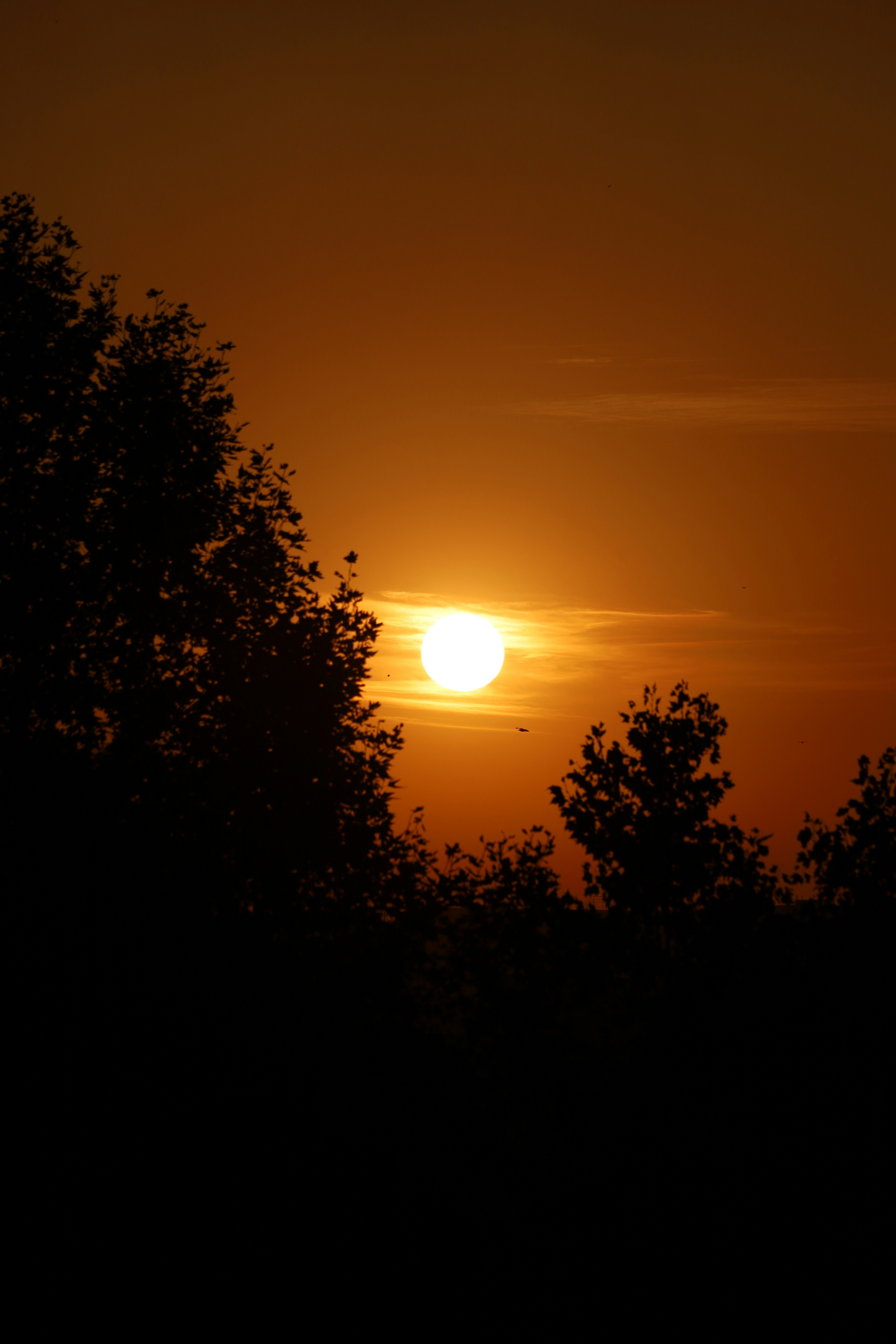 Photo by _fotofurkan_