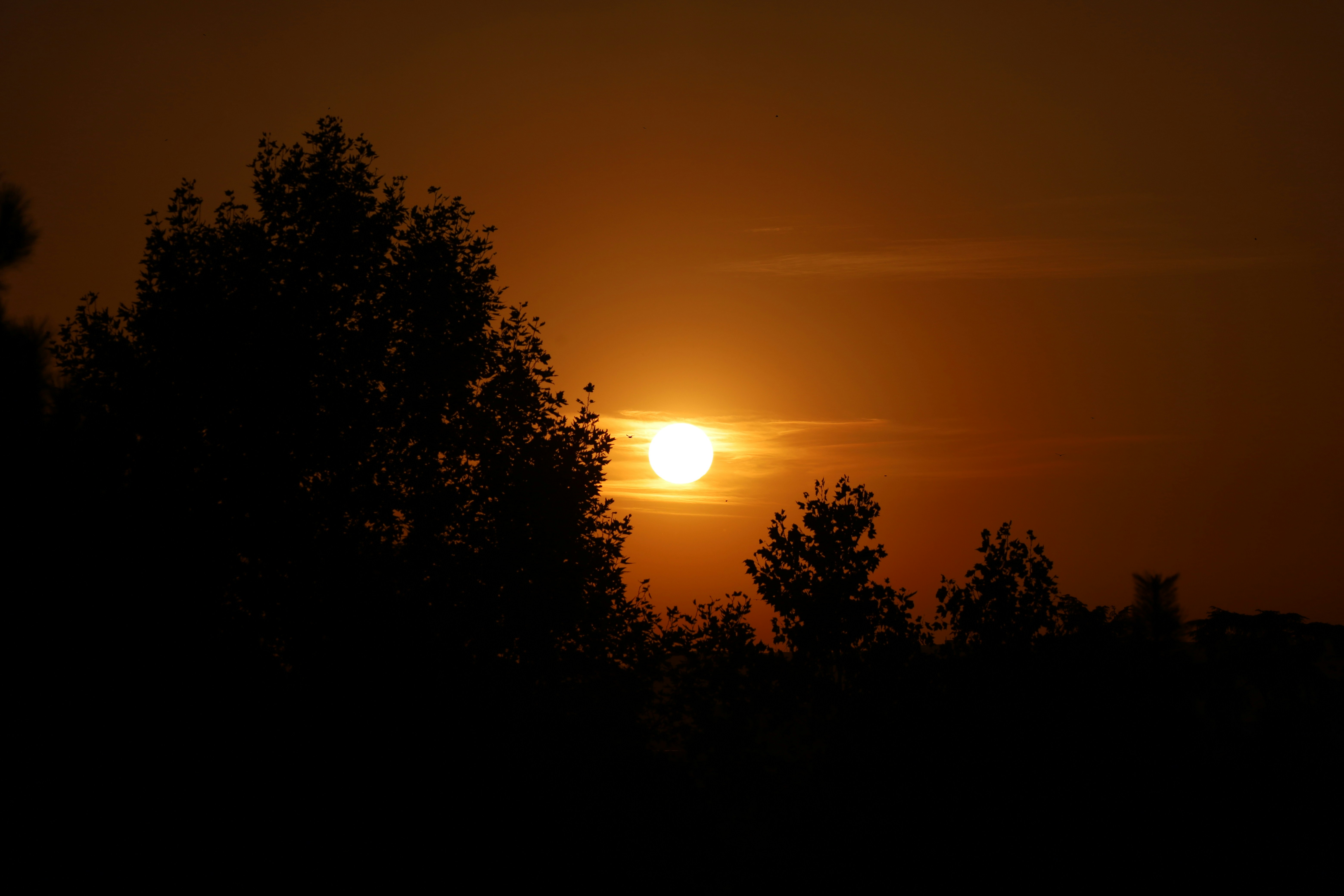 Photo by _fotofurkan_