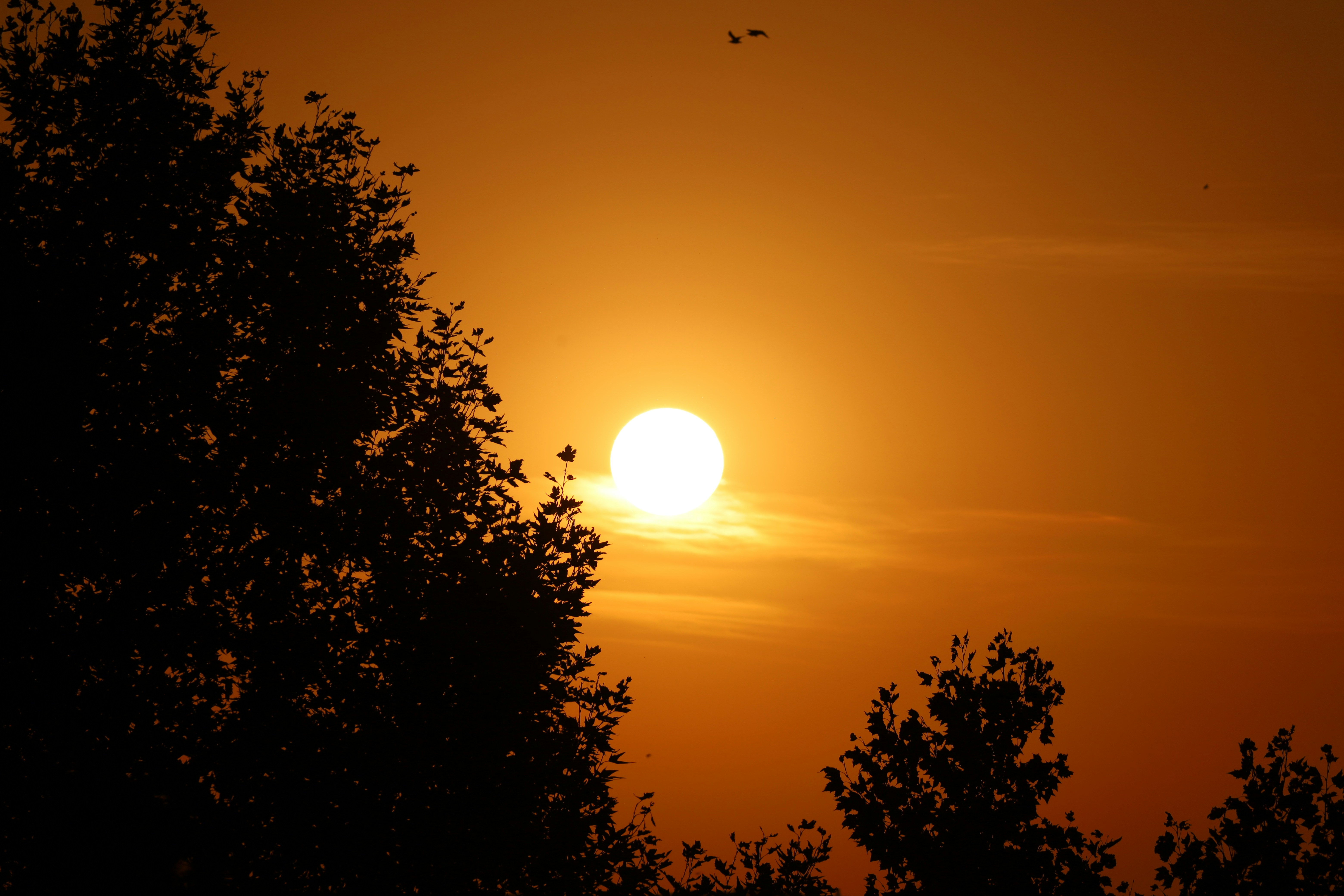 Photo by _fotofurkan_