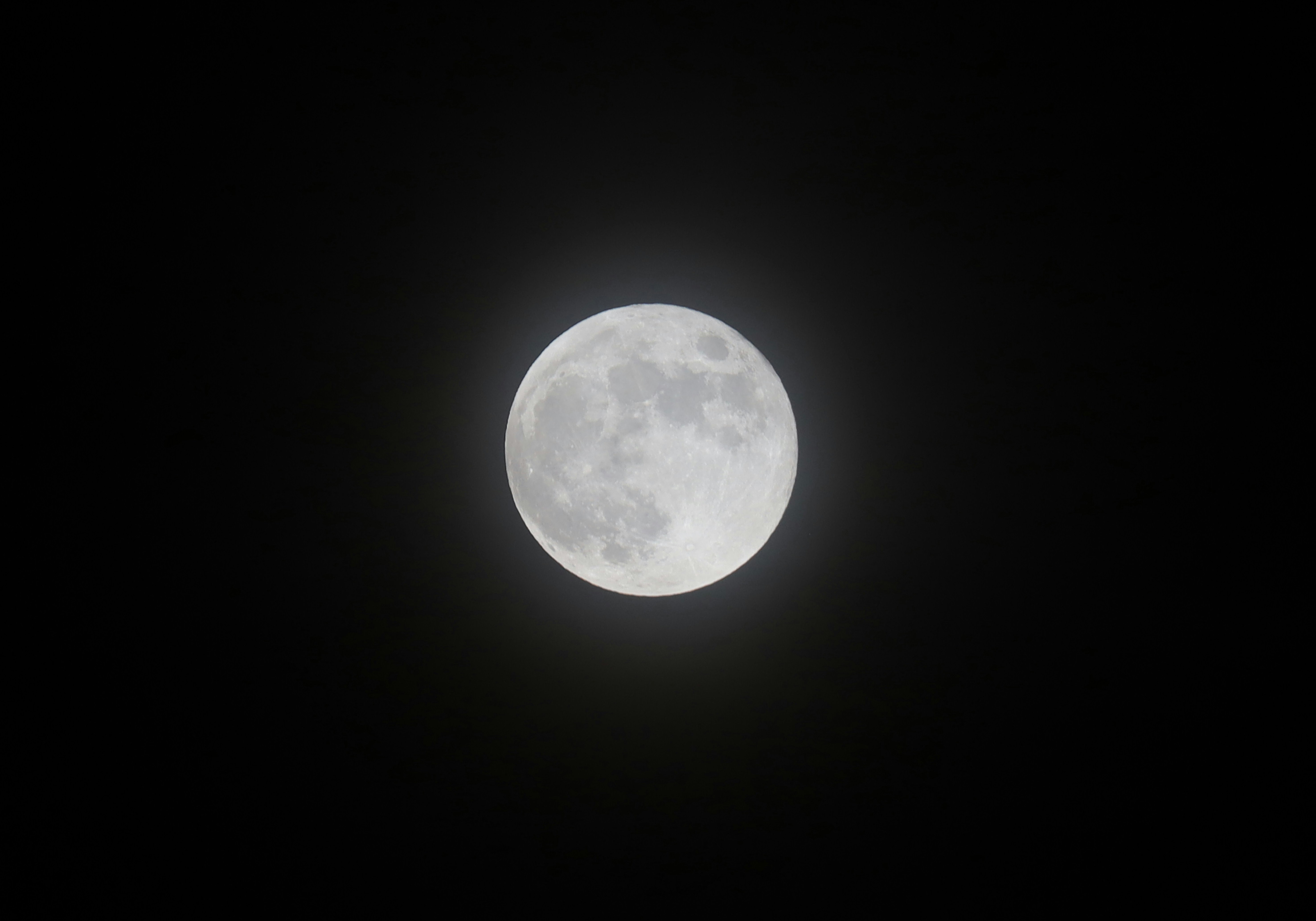 Photo by _fotofurkan_