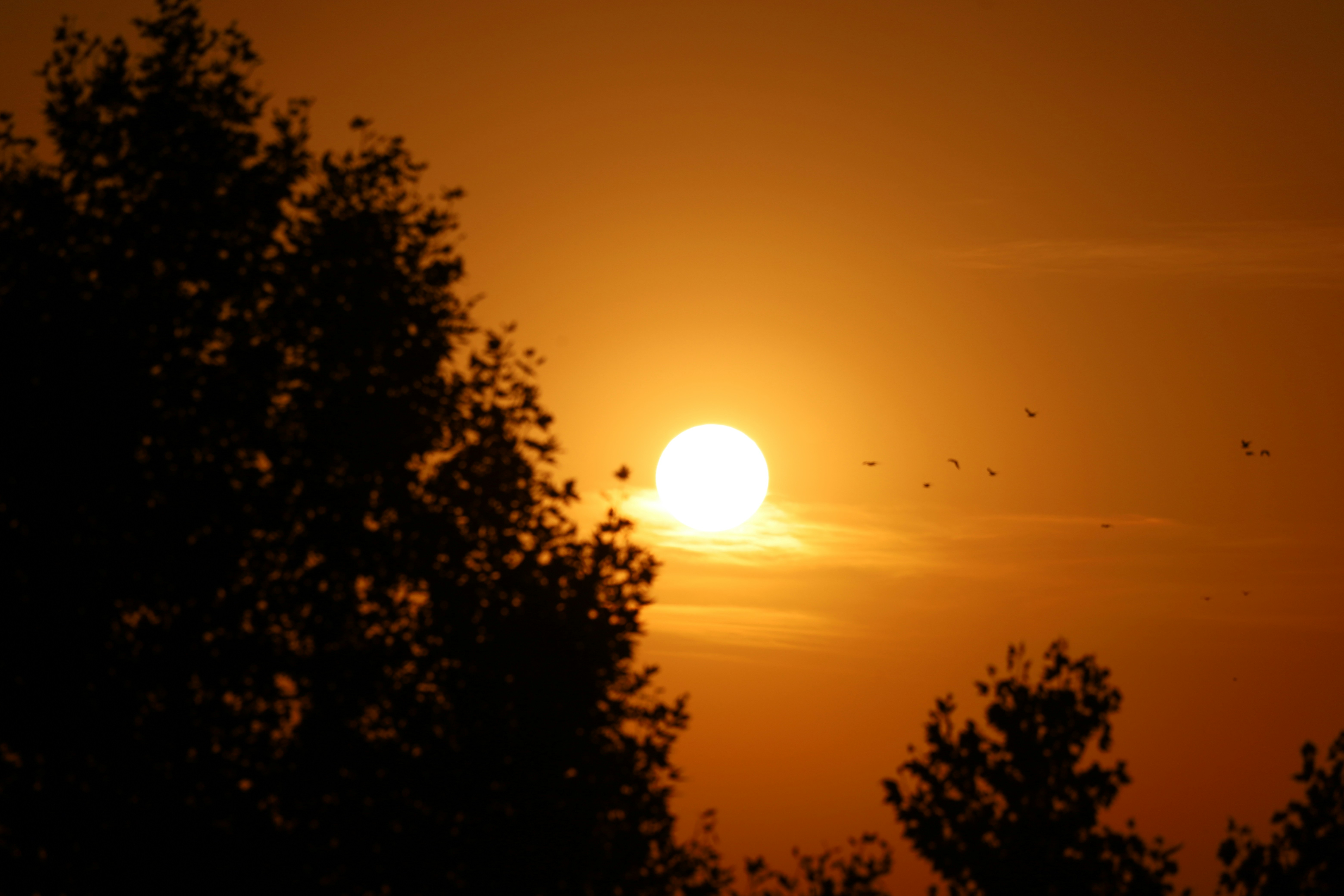 Photo by _fotofurkan_