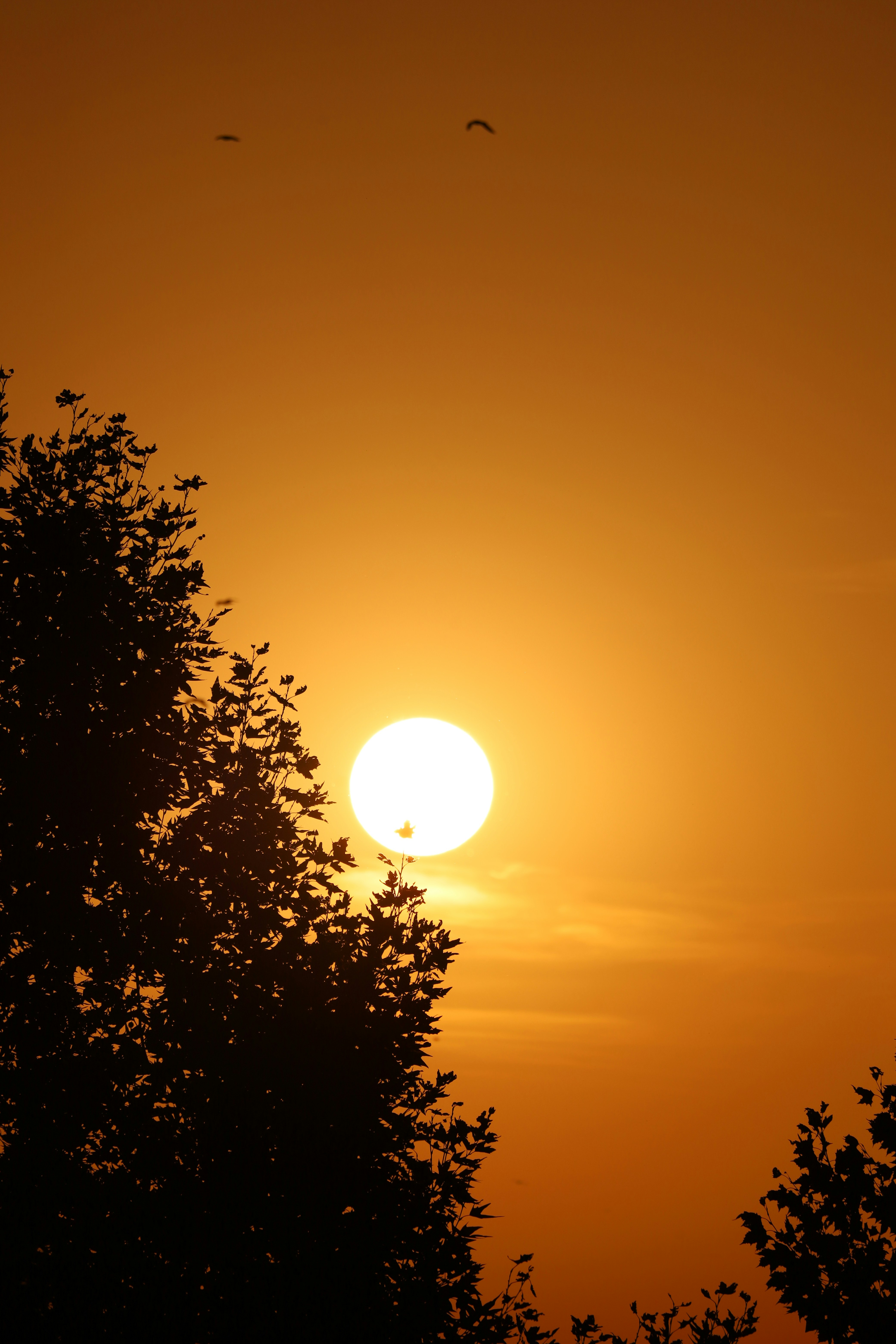 Photo by _fotofurkan_