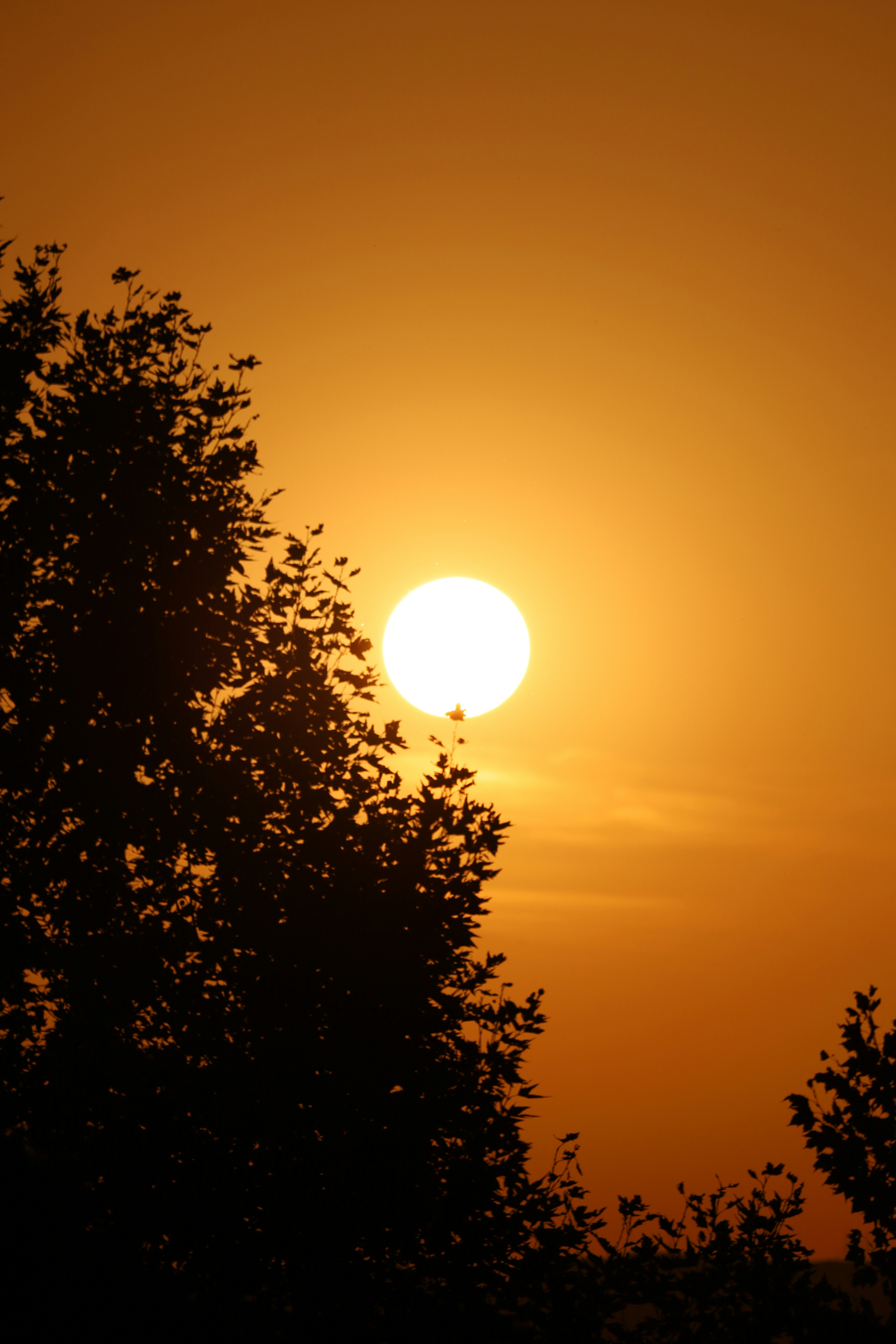 Photo by _fotofurkan_