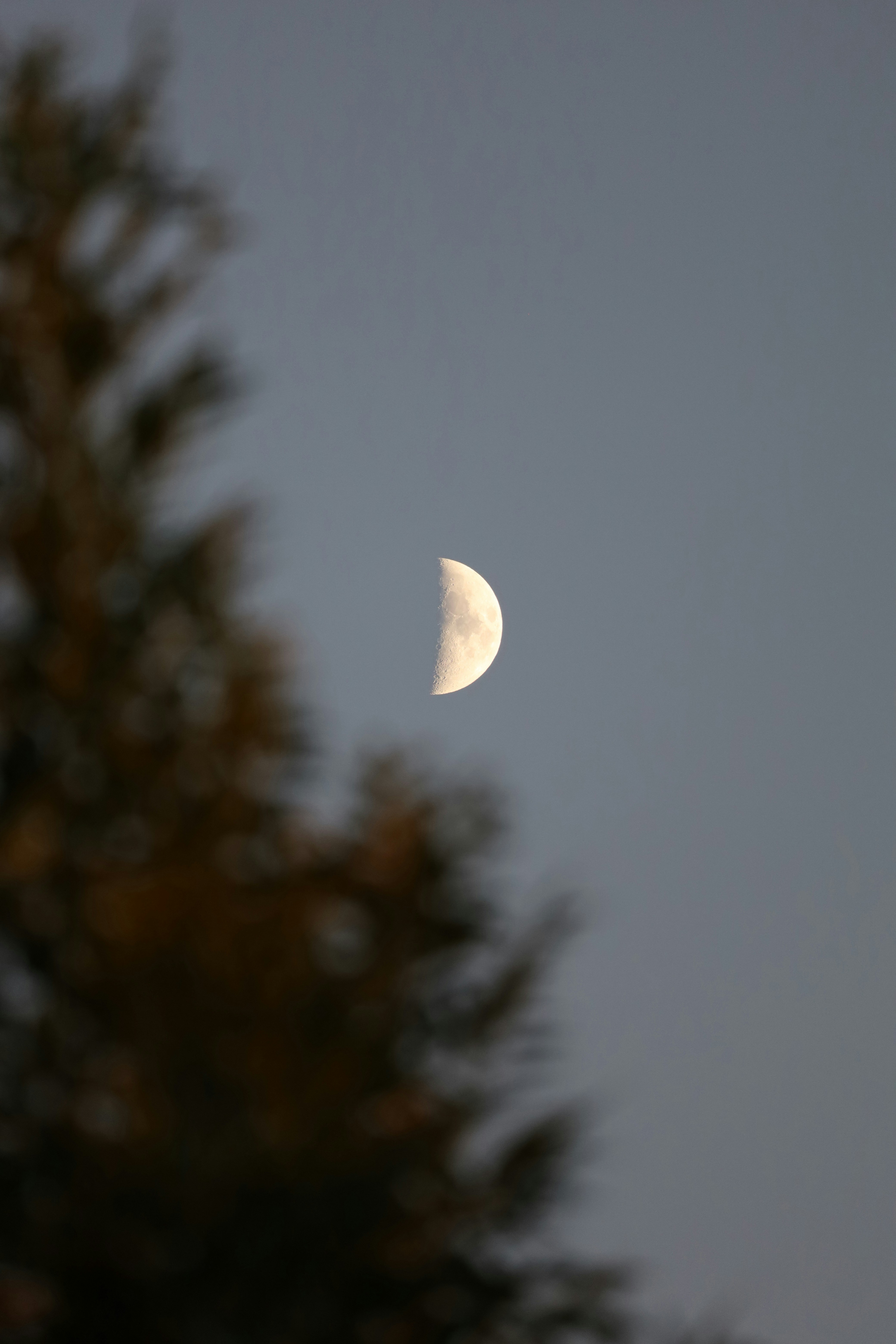 Photo by _fotofurkan_