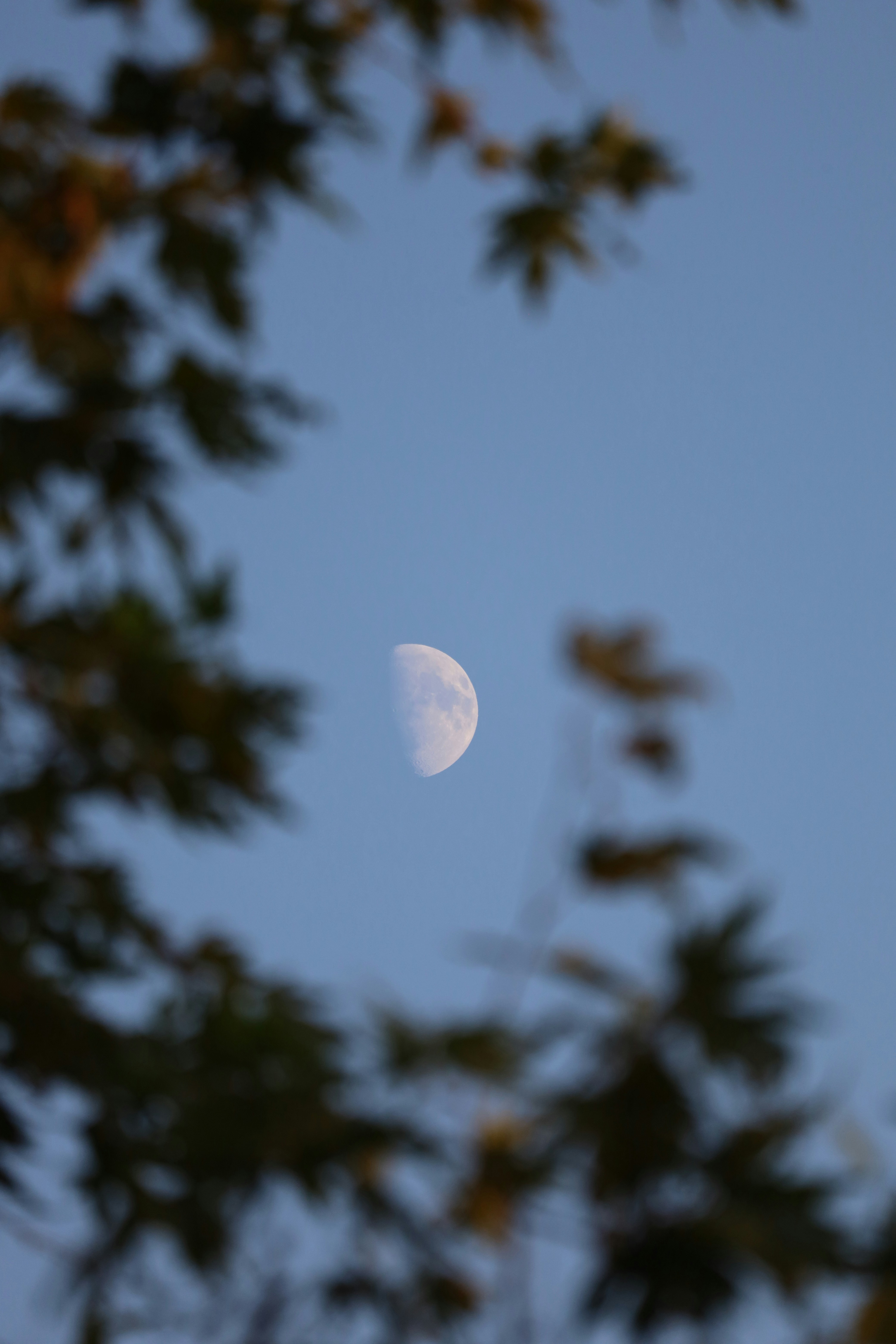 Photo by _fotofurkan_