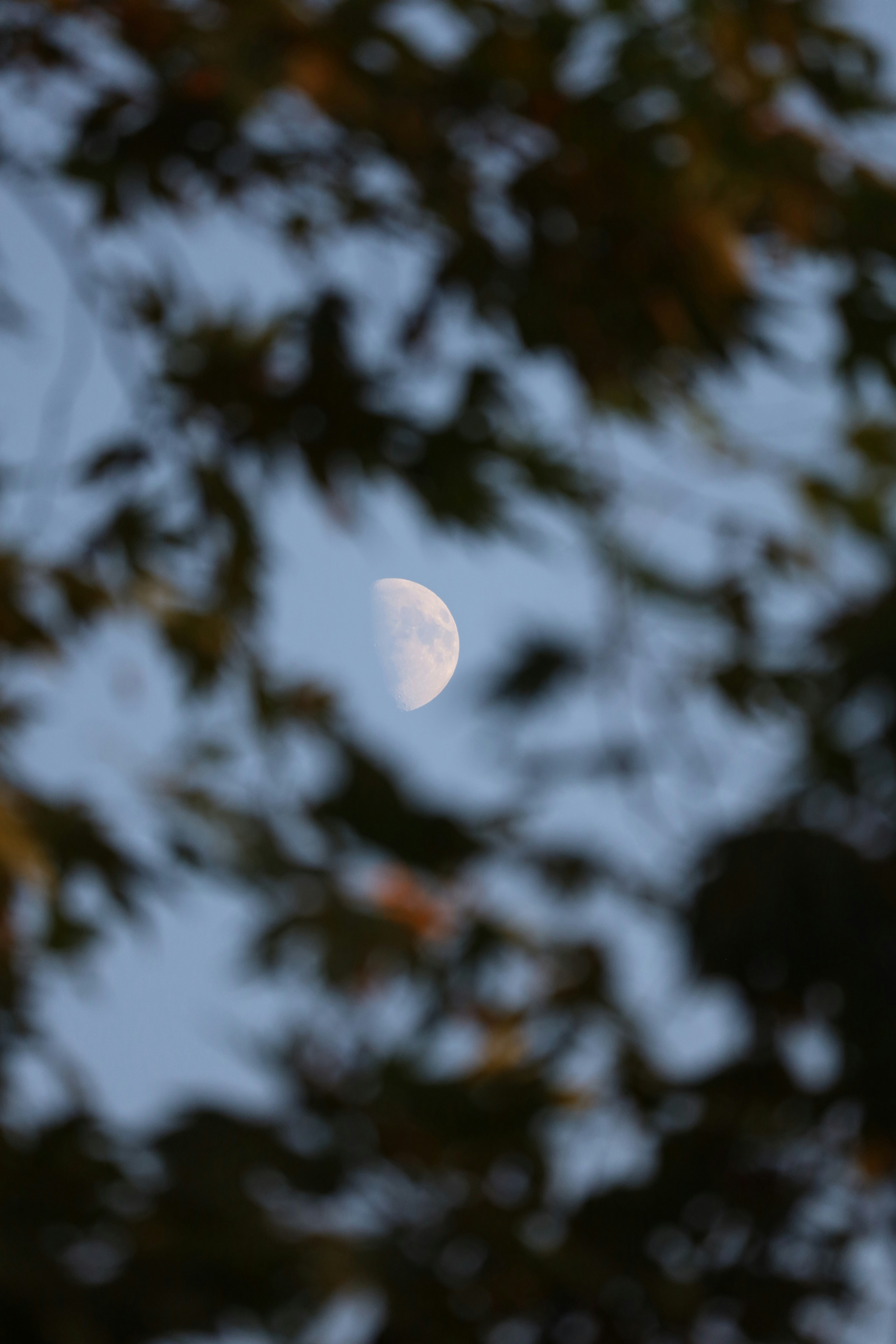 Photo by _fotofurkan_