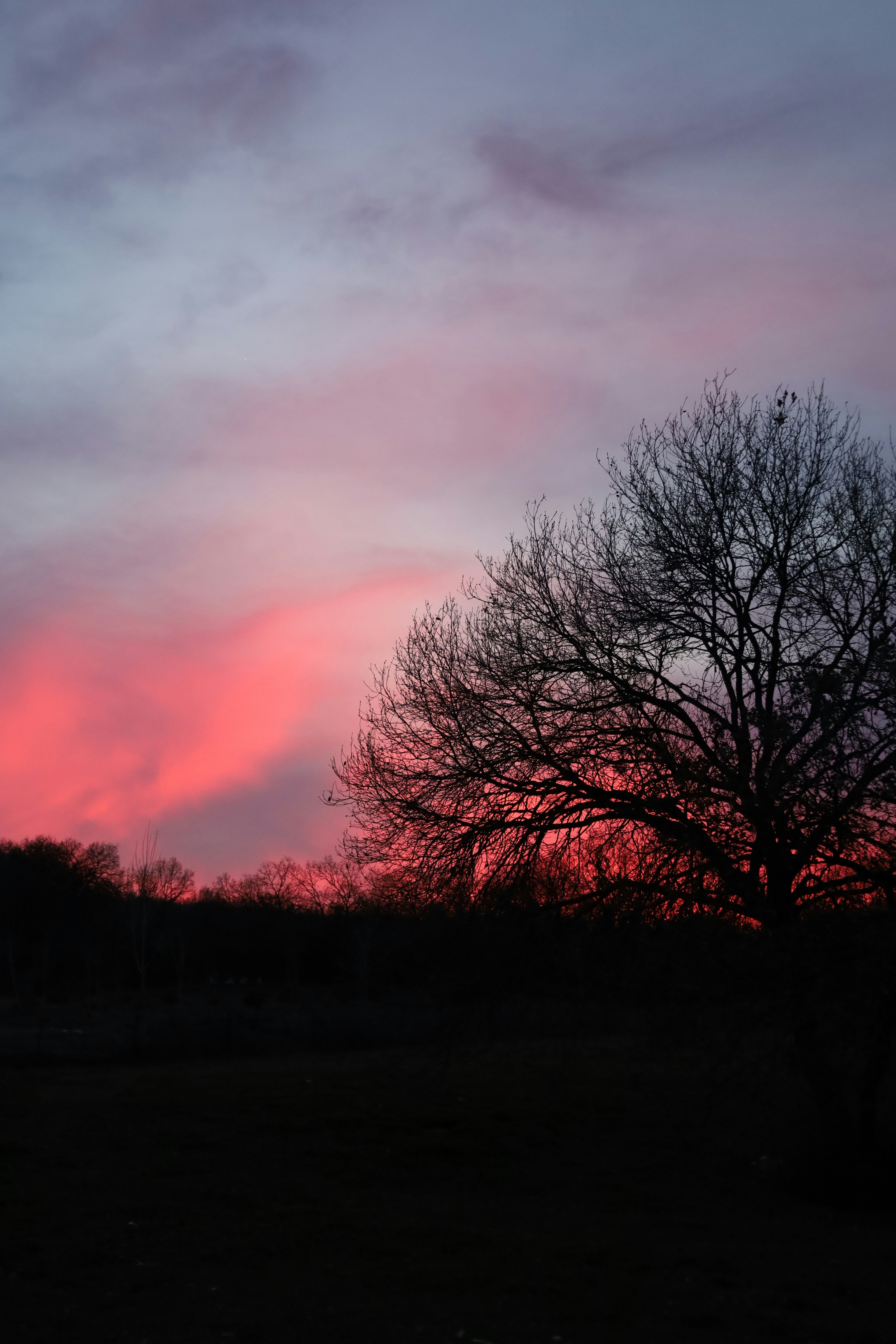 Photo by _fotofurkan_