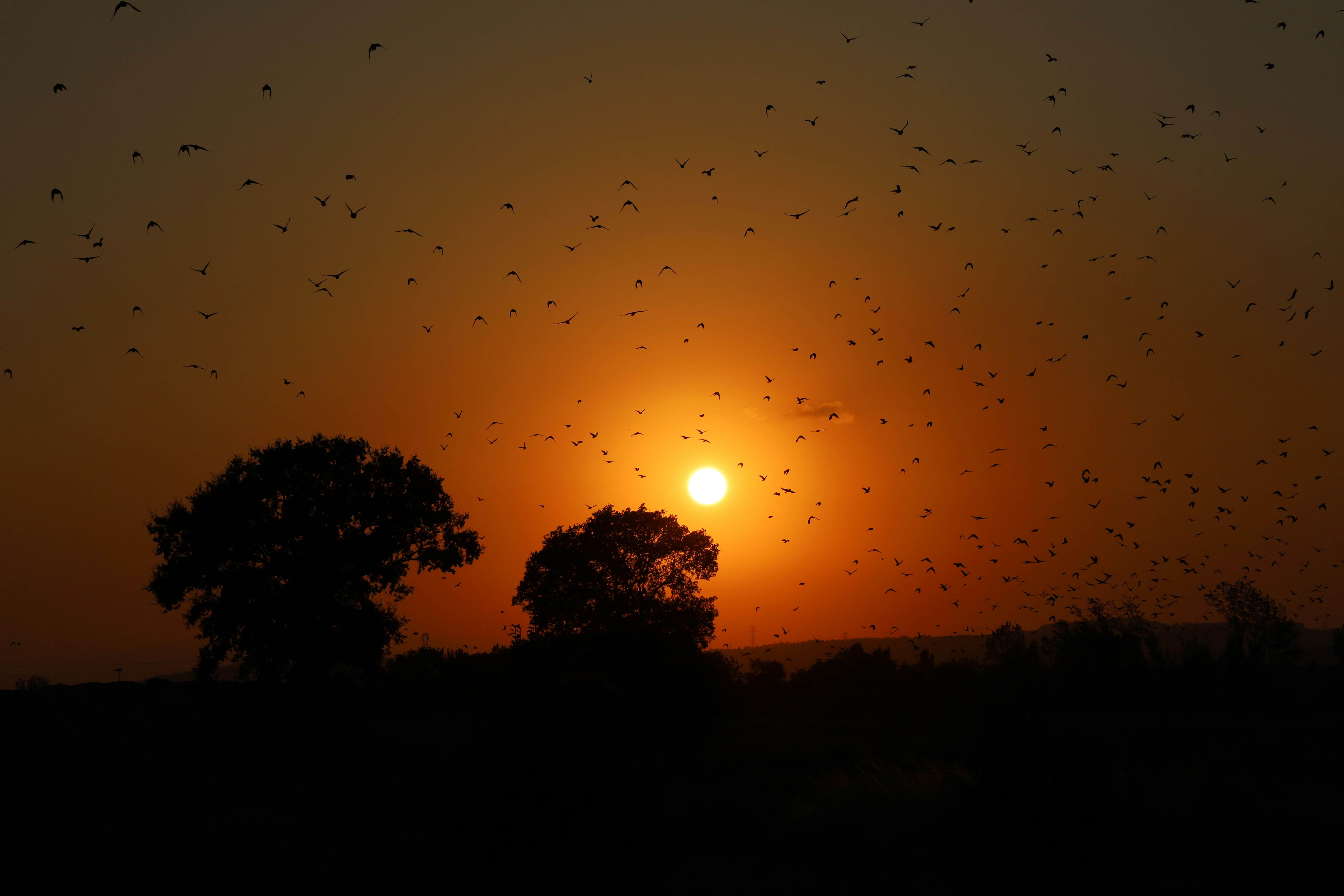 Photo by _fotofurkan_