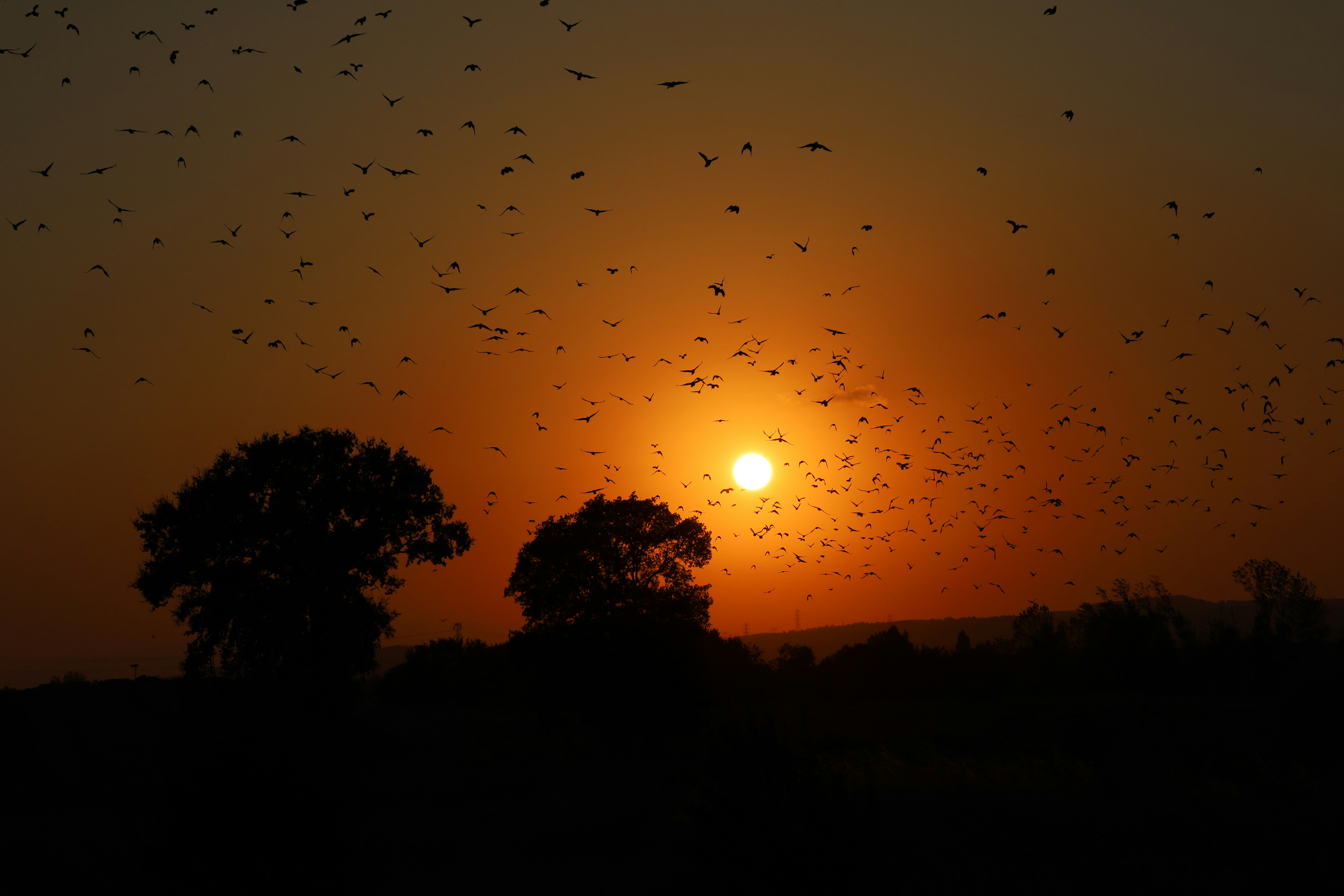 Photo by _fotofurkan_