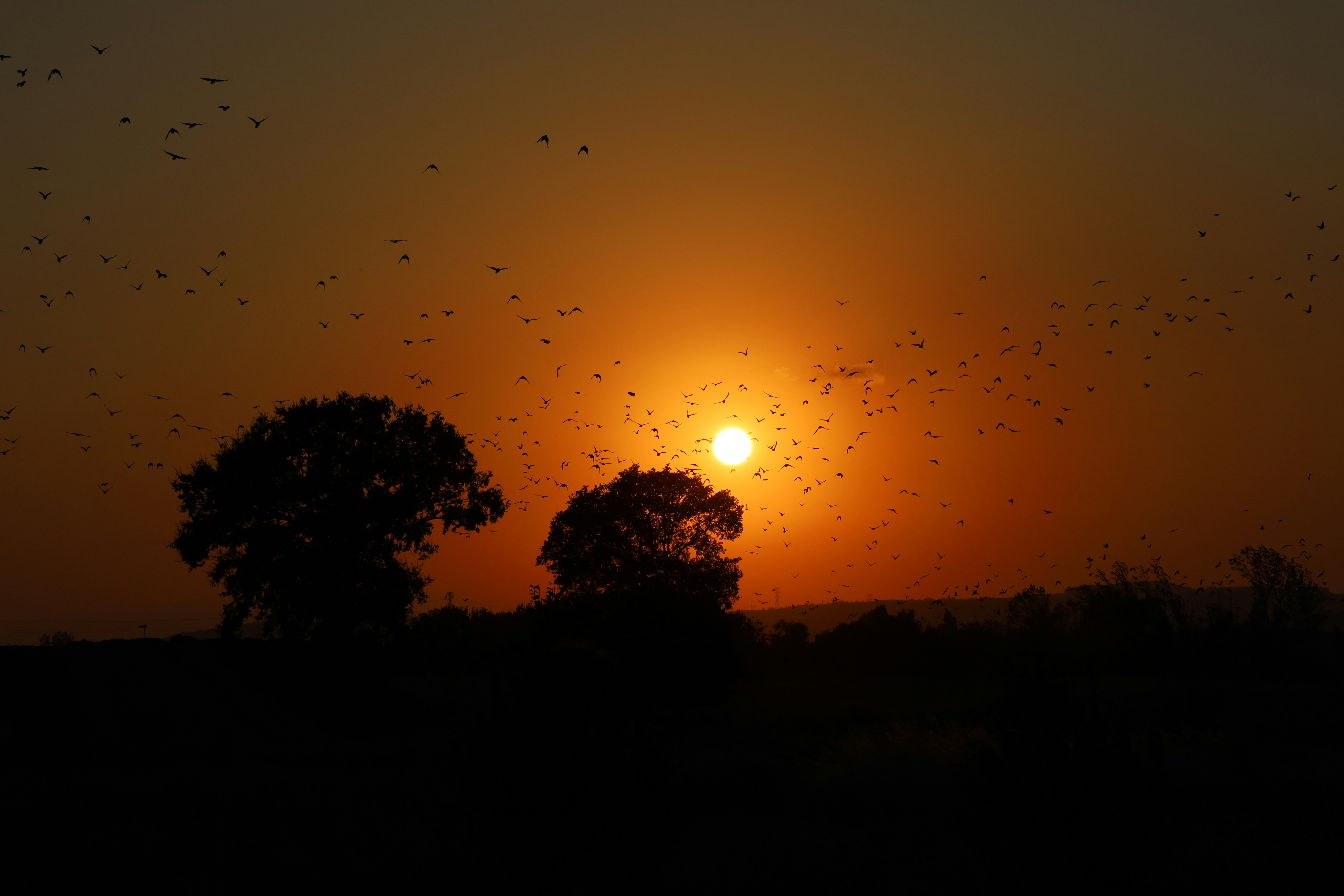 Photo by _fotofurkan_