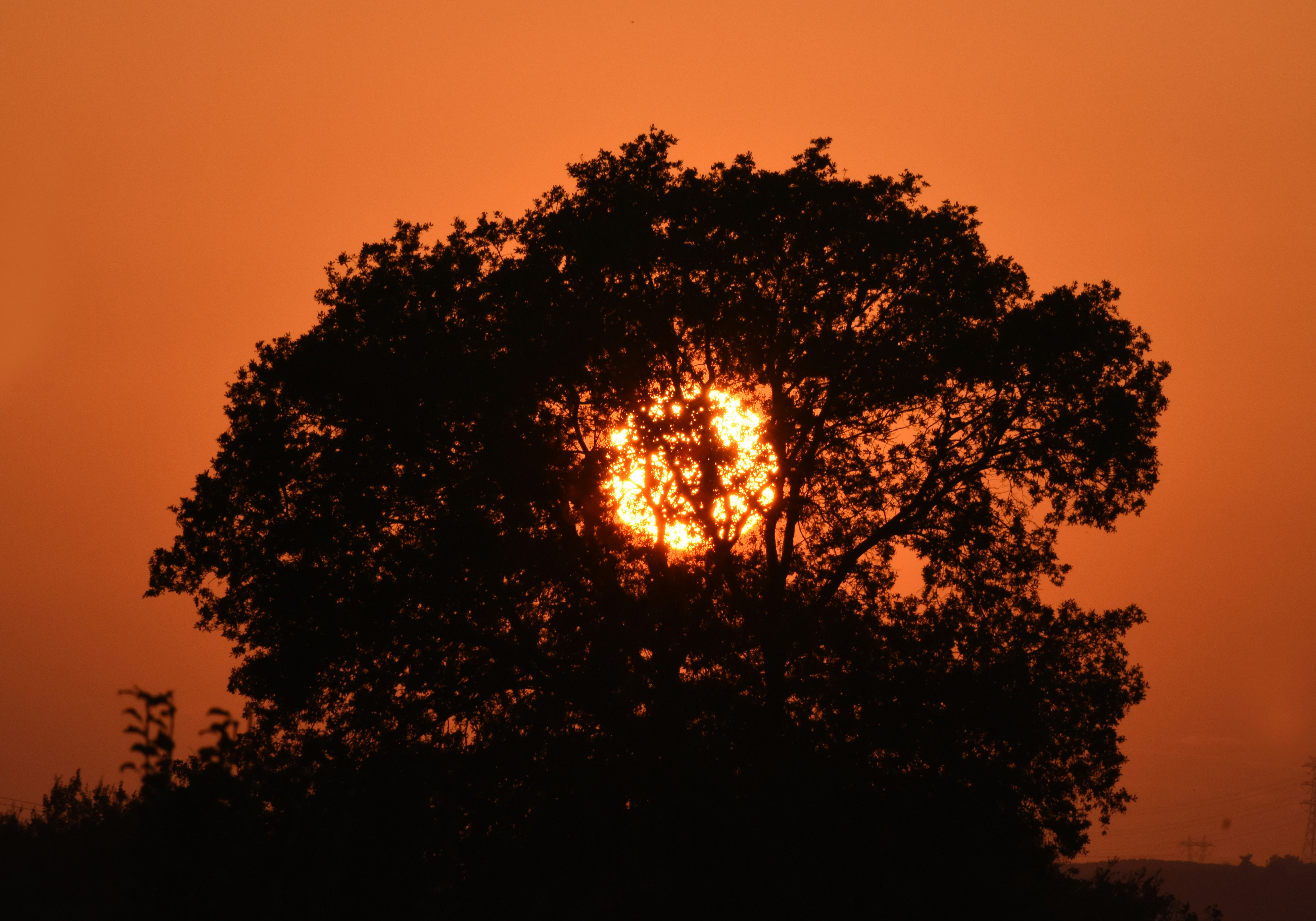 Photo by _fotofurkan_