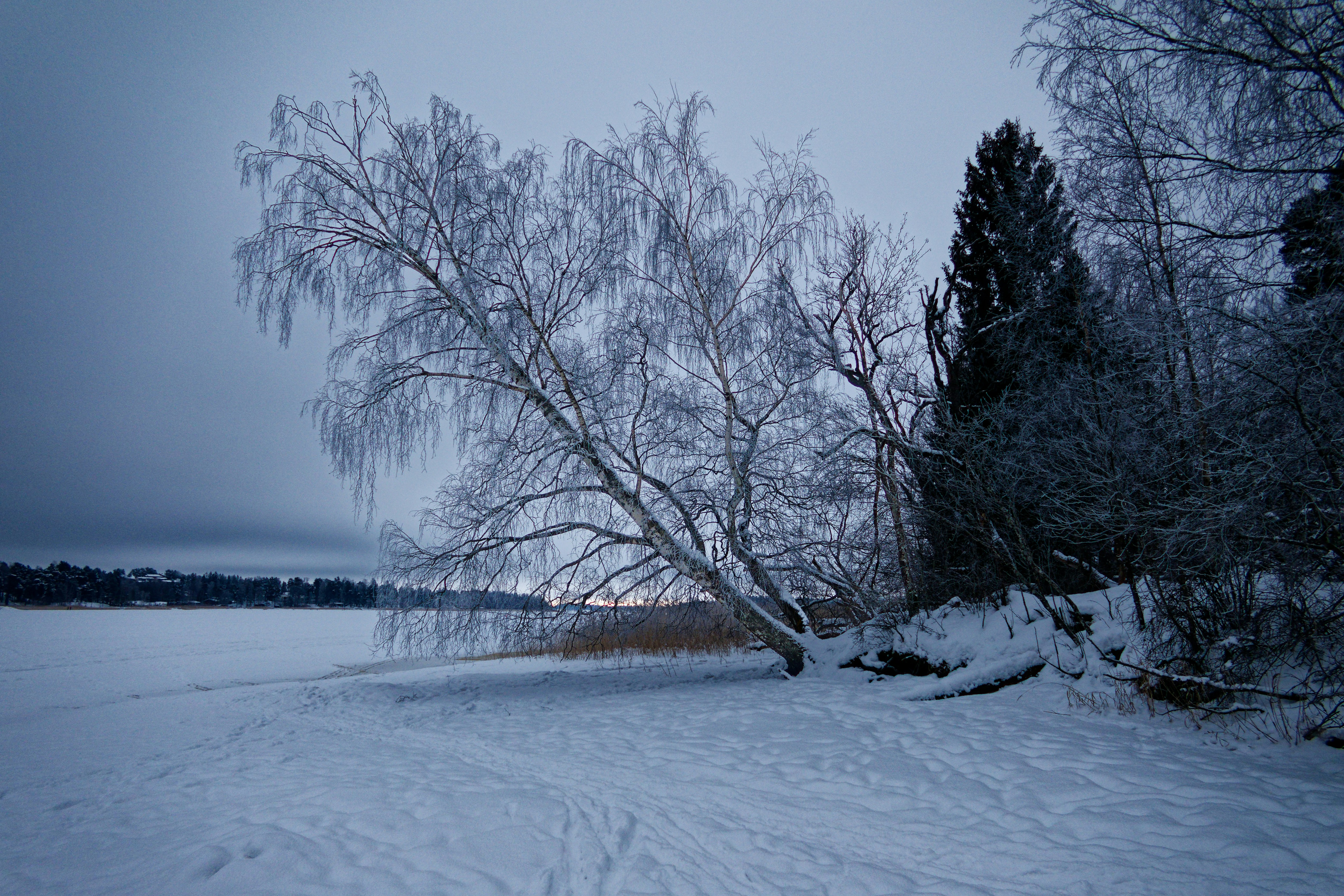 Photo by schneiderhenry