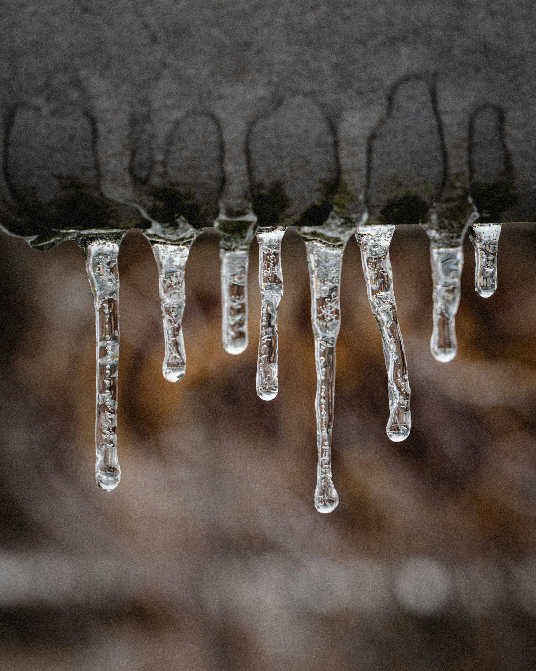 Photo by luca_severin