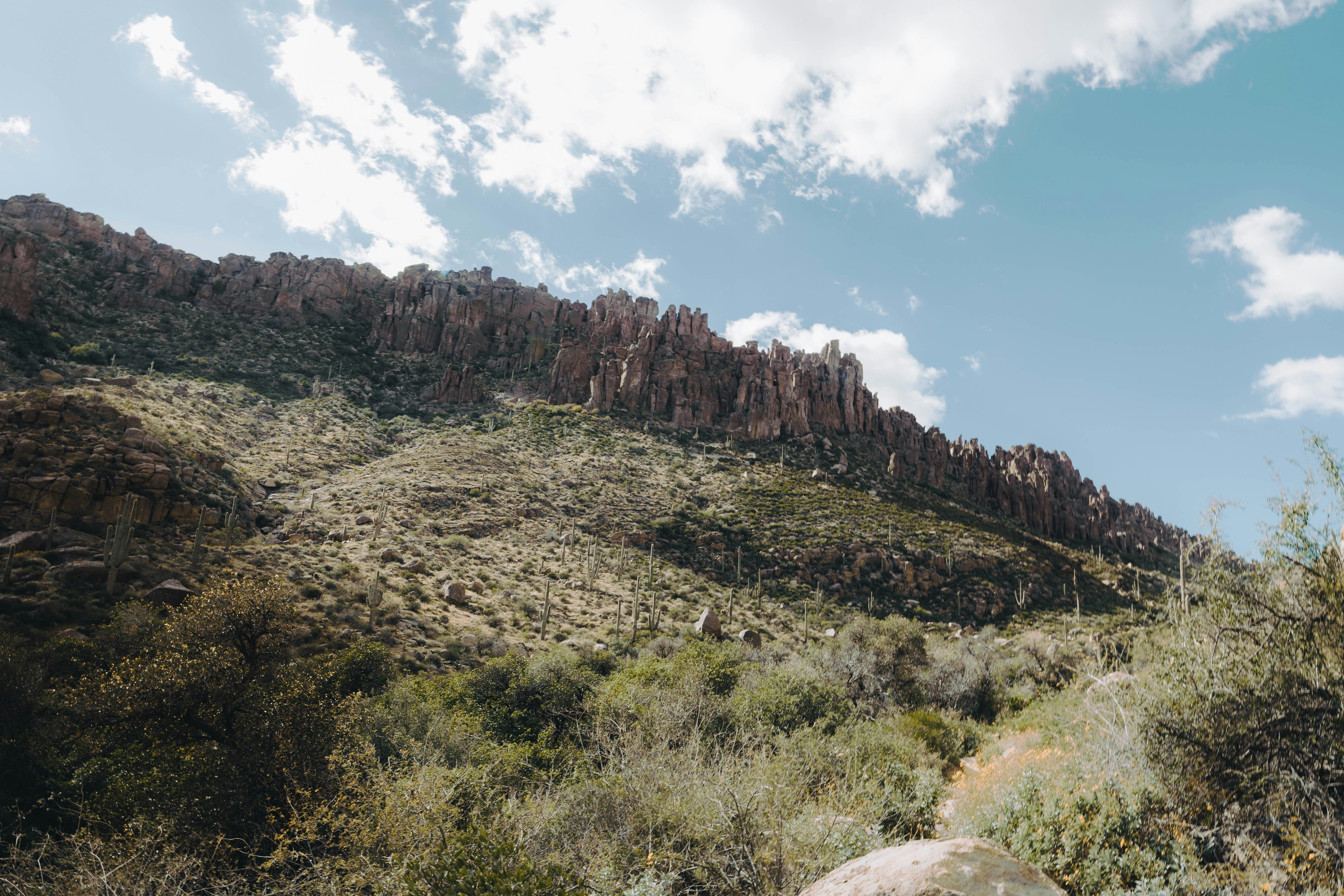 Photo by jeffersonsees