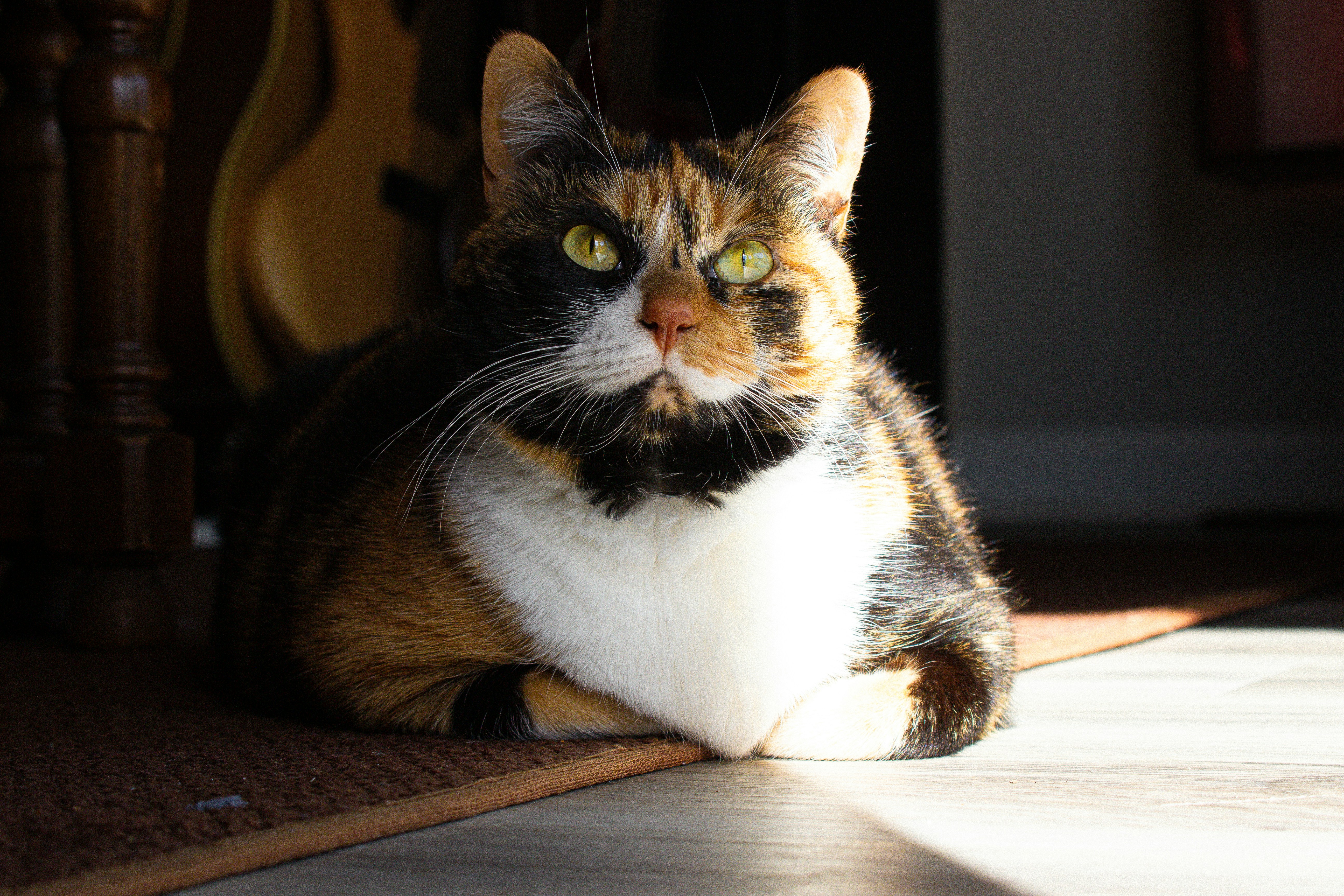 Photo by androidhammer