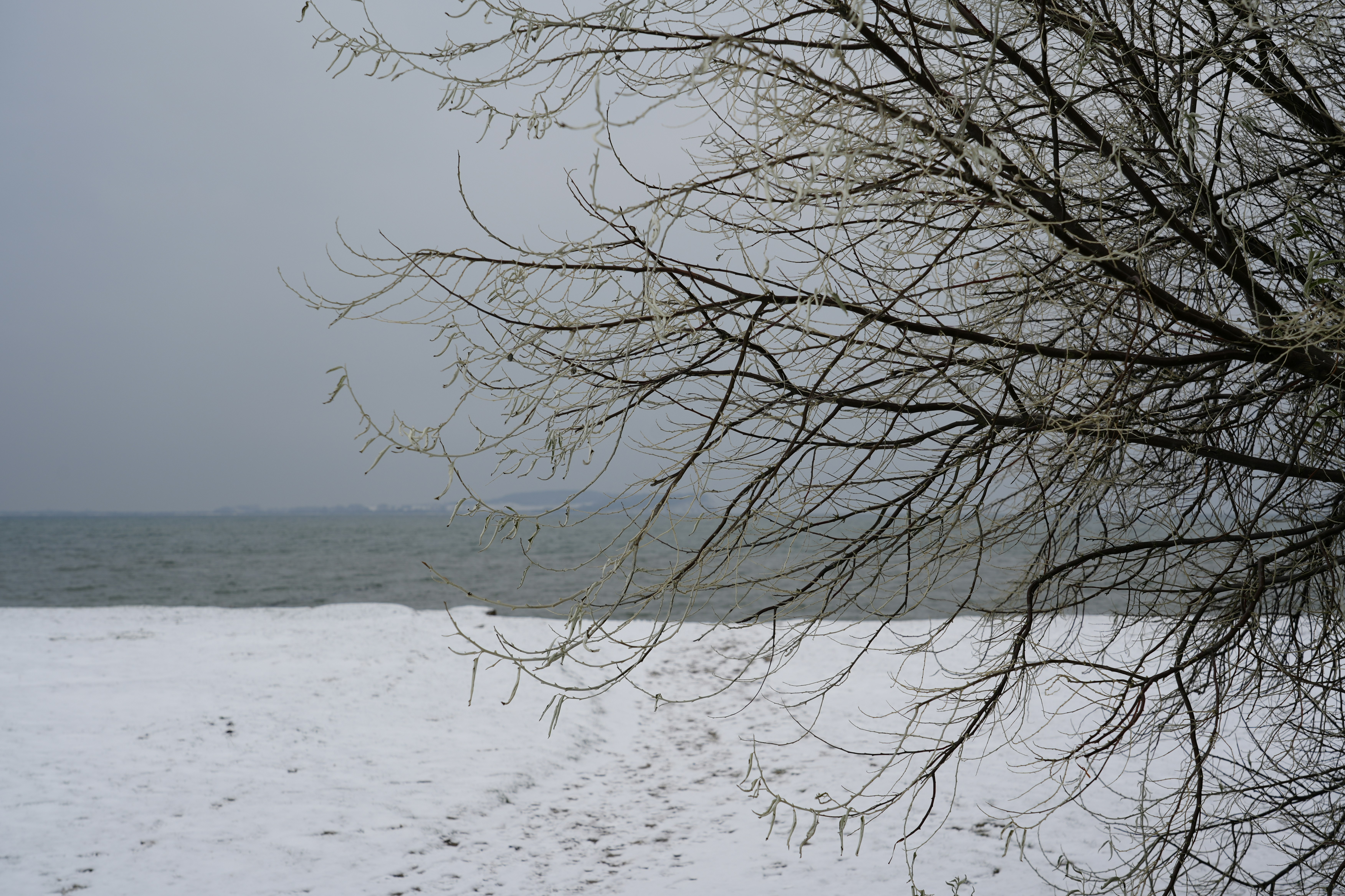 Photo by antjewinkler