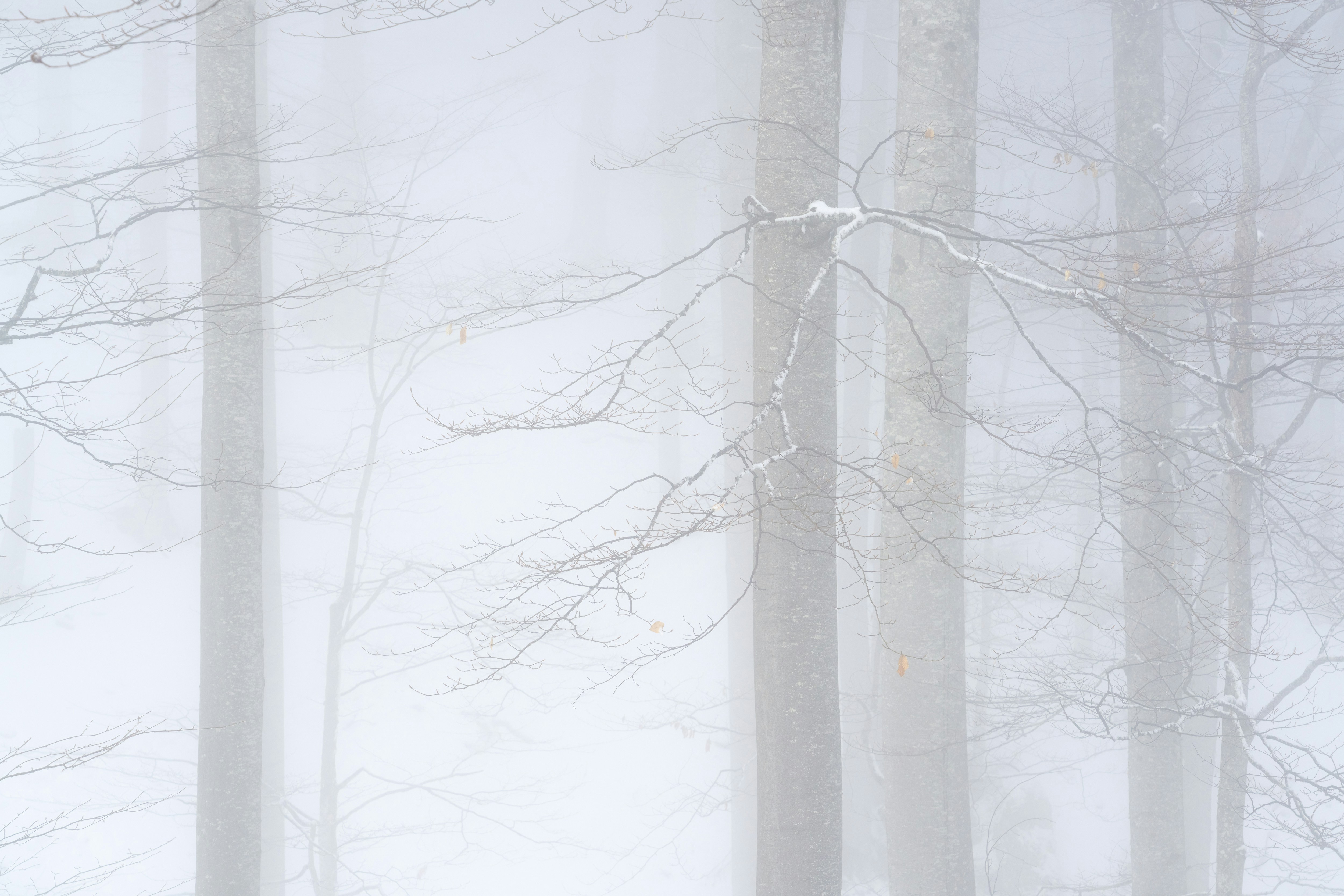 Photo by valentinastn