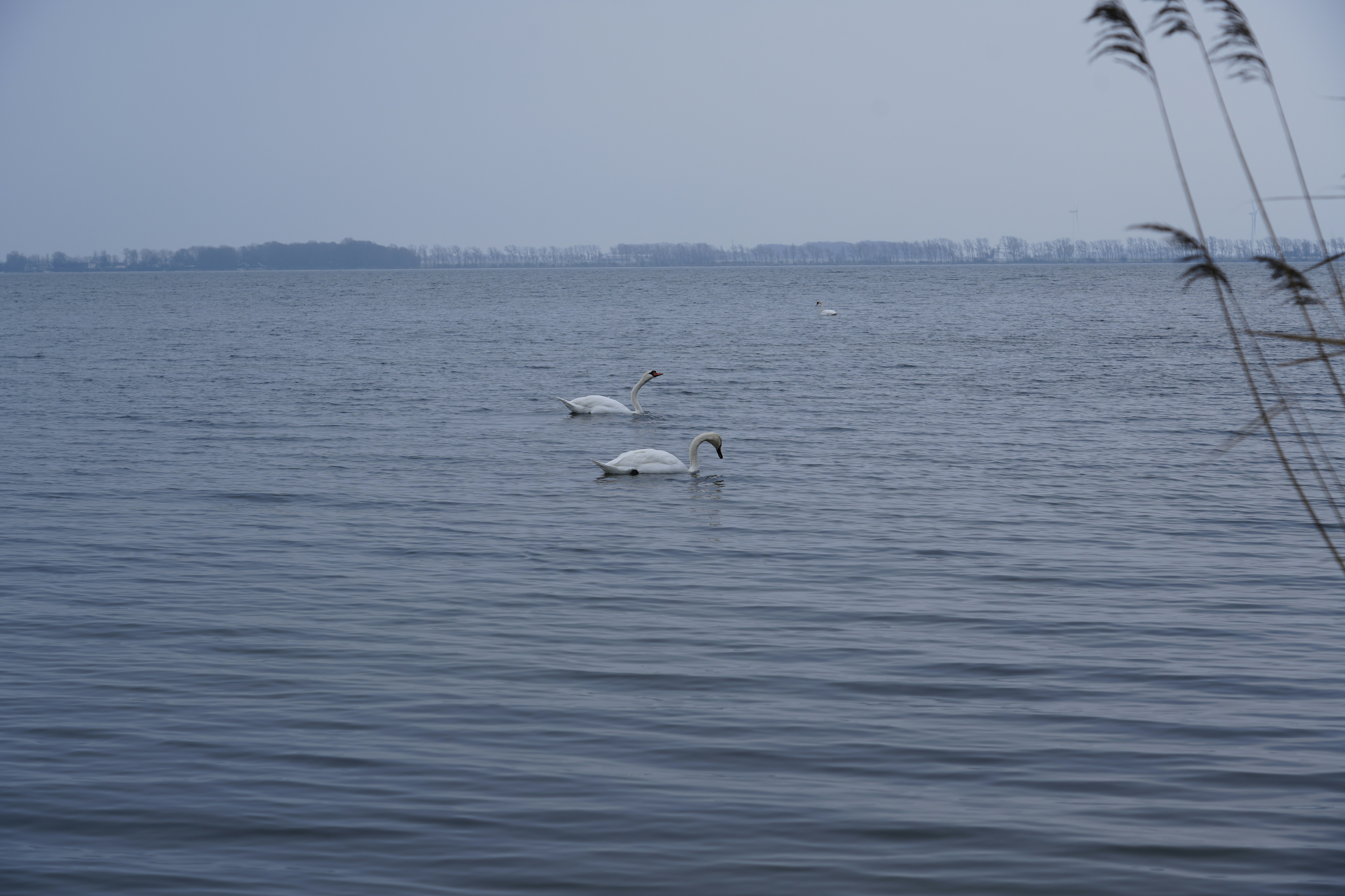 Photo by antjewinkler