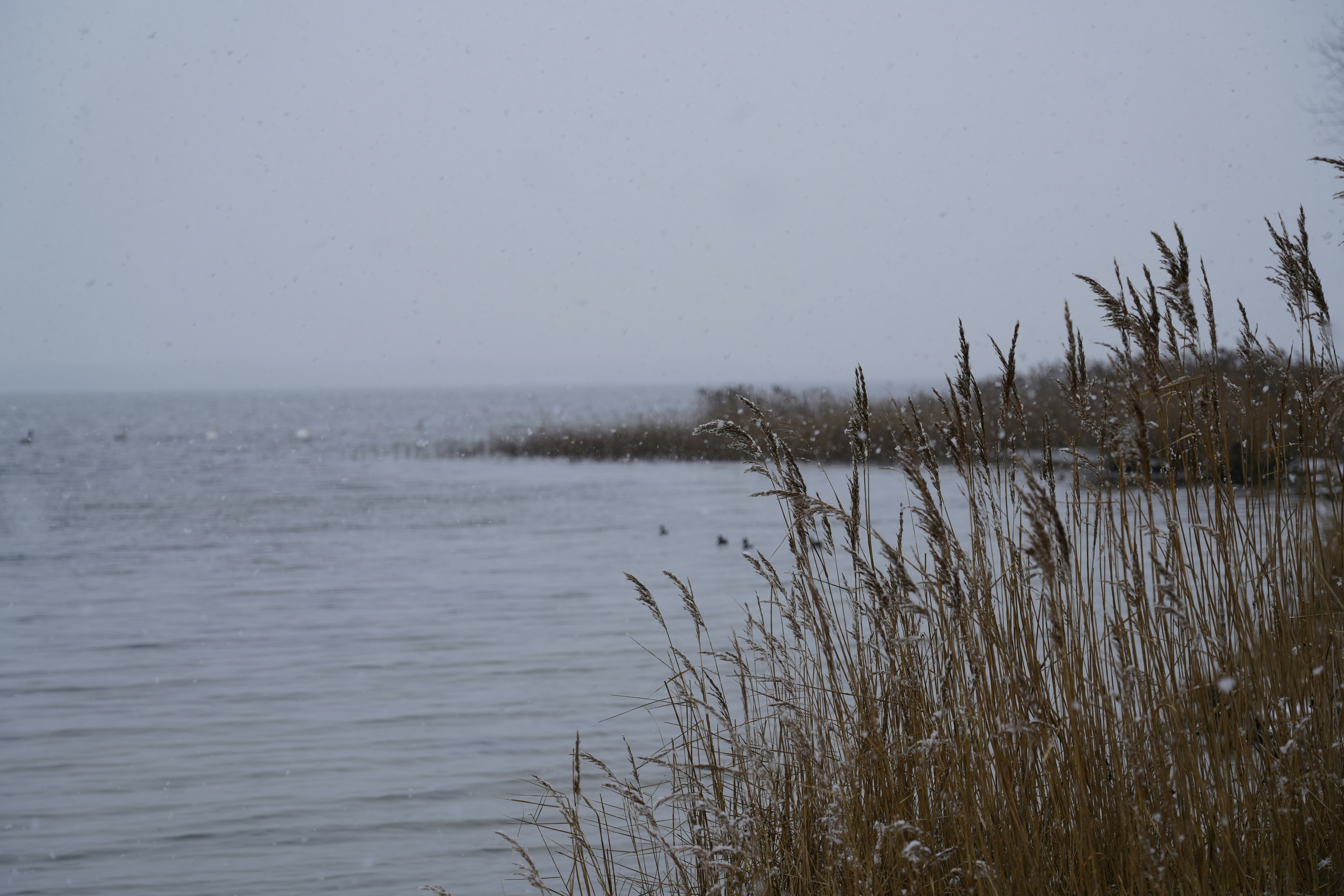 Photo by antjewinkler